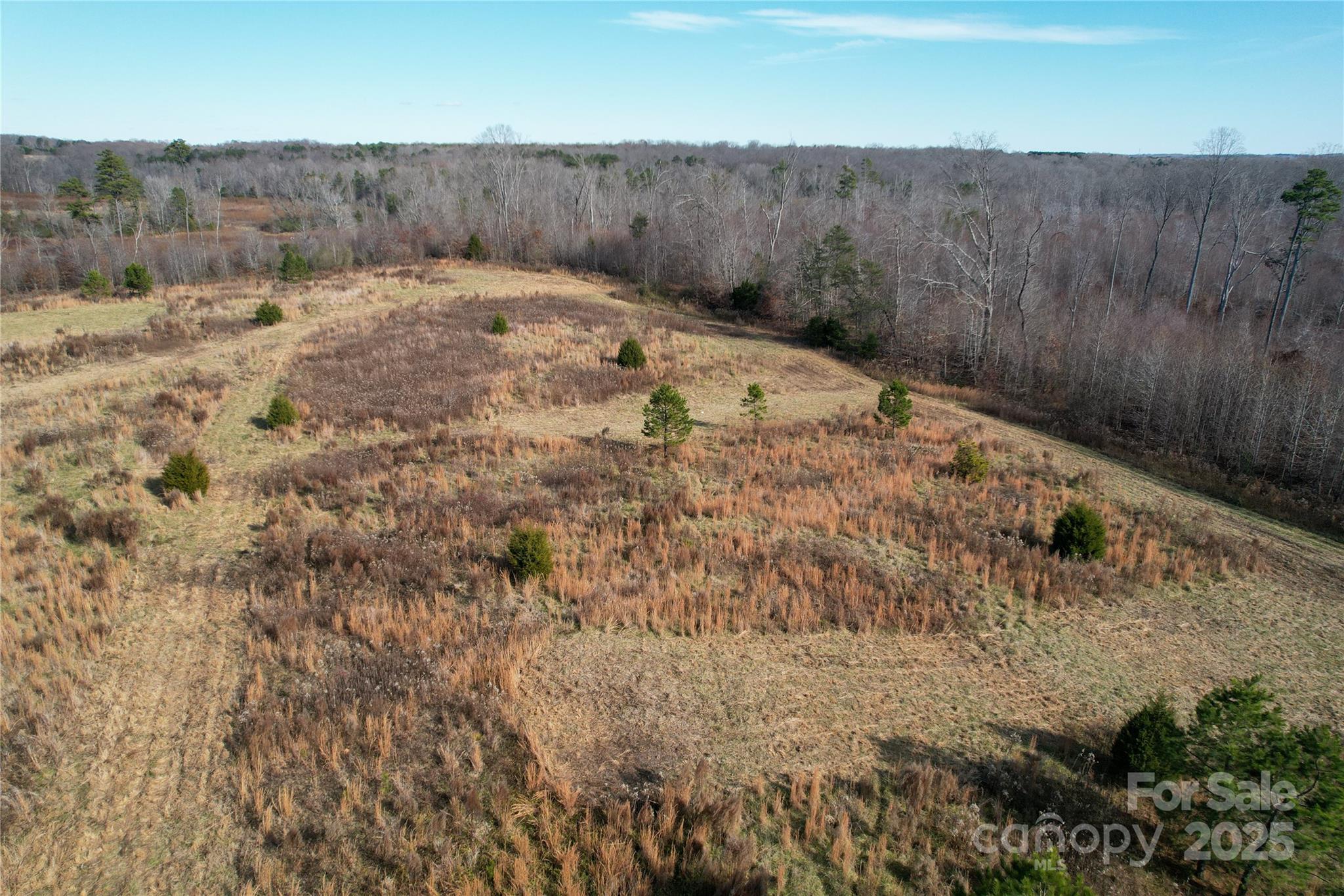 522 Whitworth Road Property Photo 23