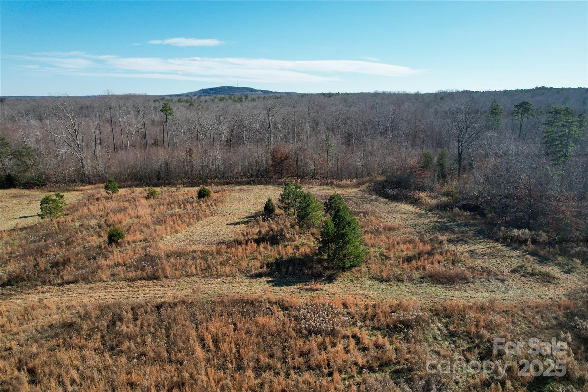 522 Whitworth Road Property Photo 24
