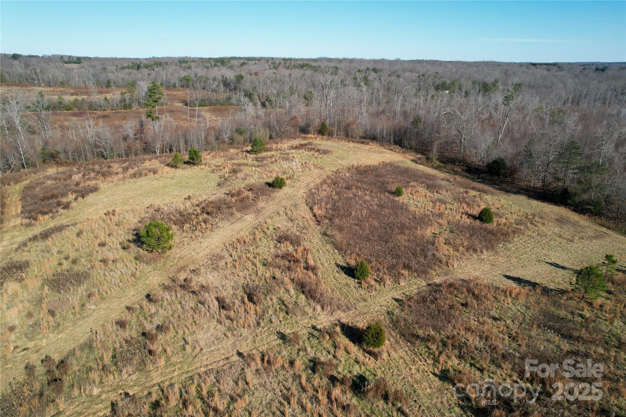 522 Whitworth Road Property Photo 26