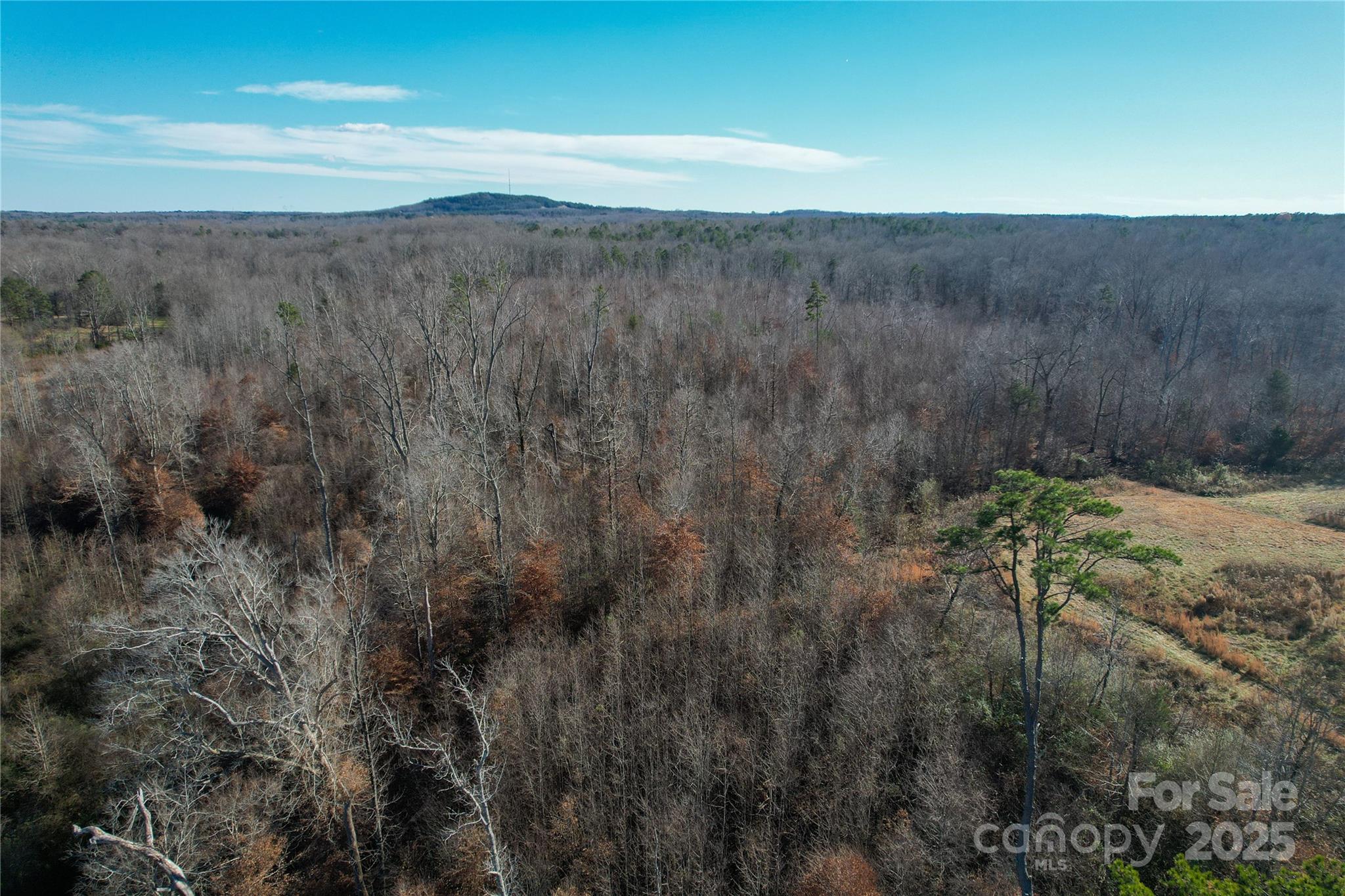 522 Whitworth Road Property Photo 27