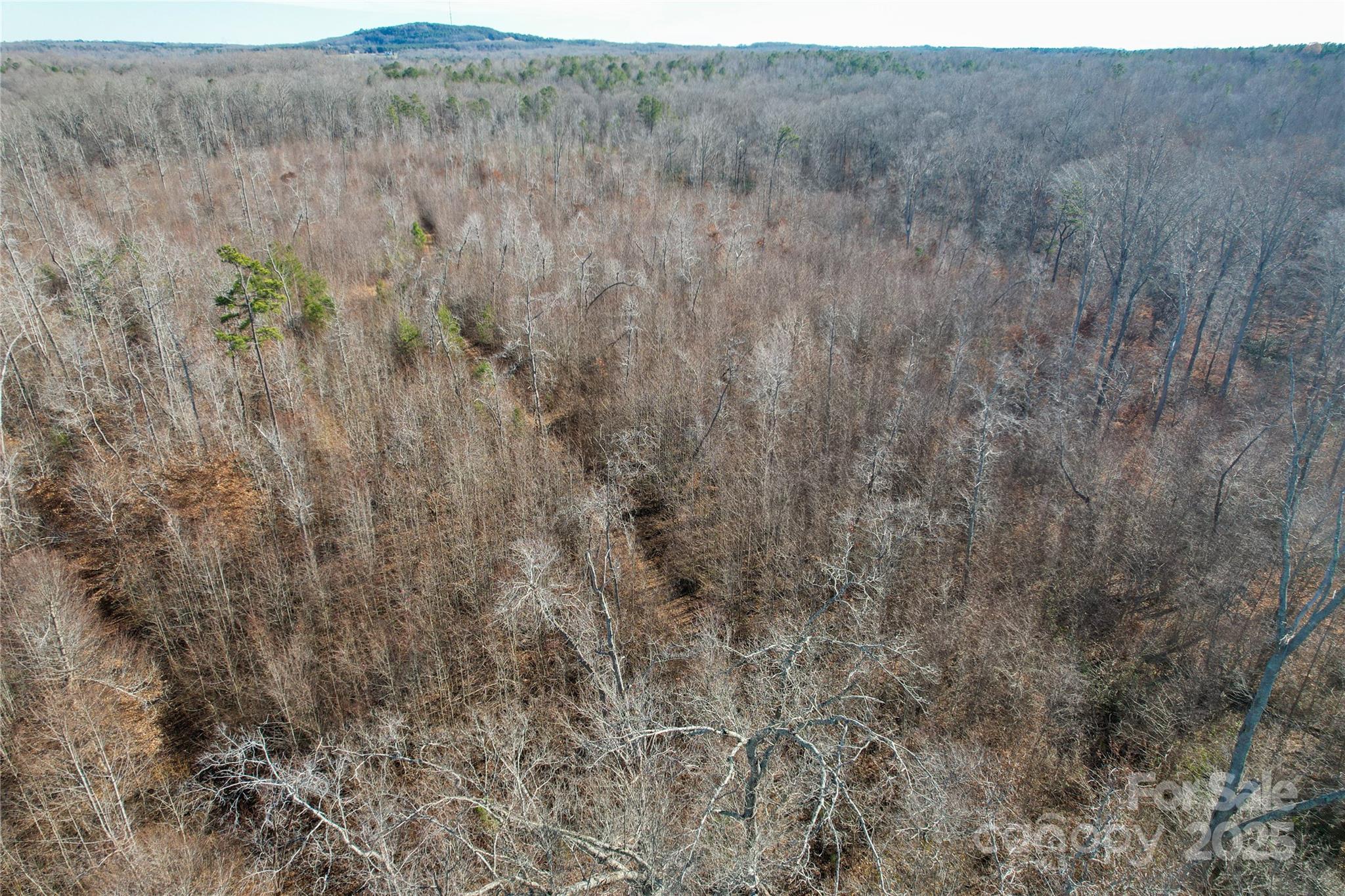 522 Whitworth Road Property Photo 28