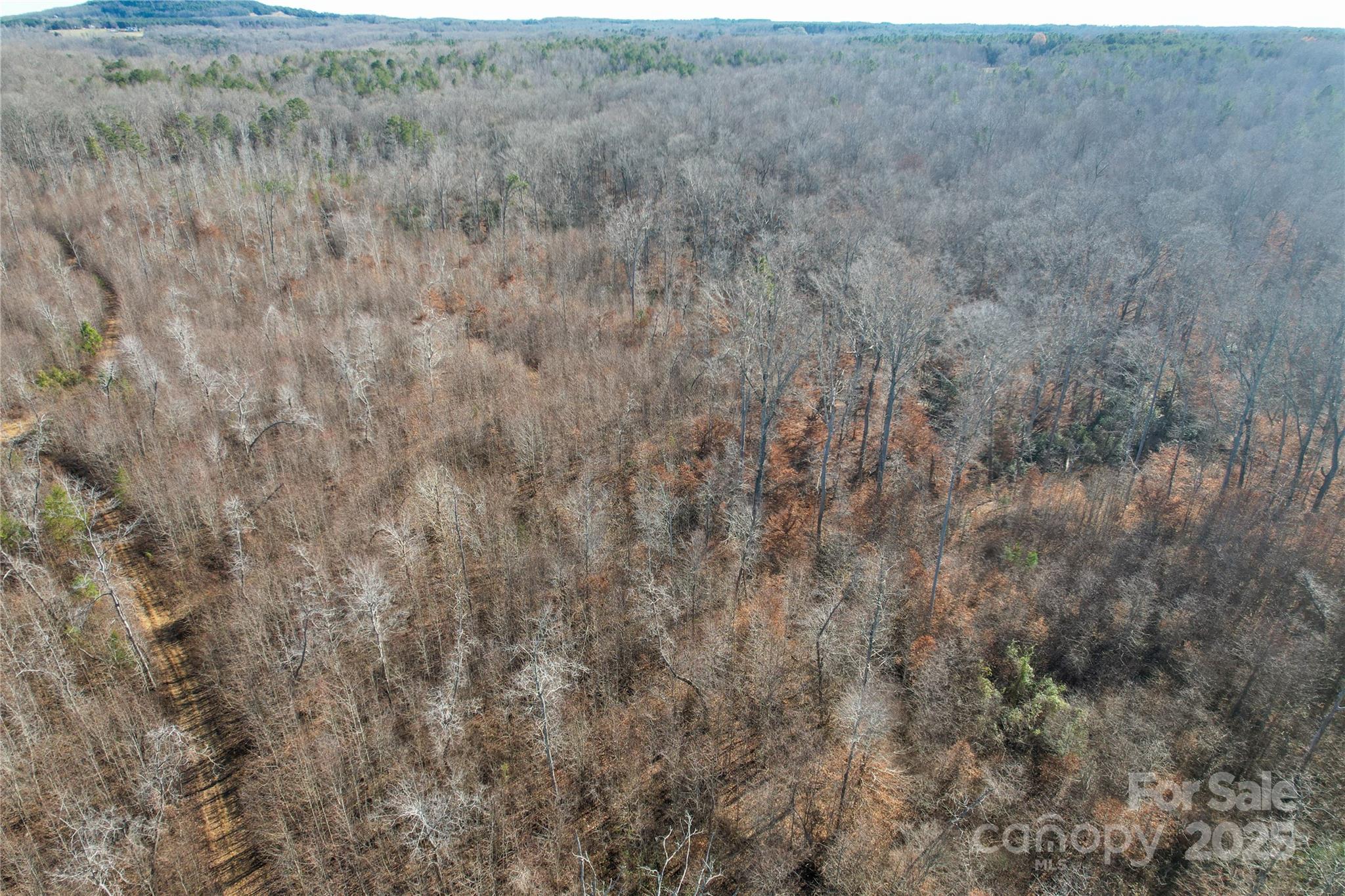 522 Whitworth Road Property Photo 29