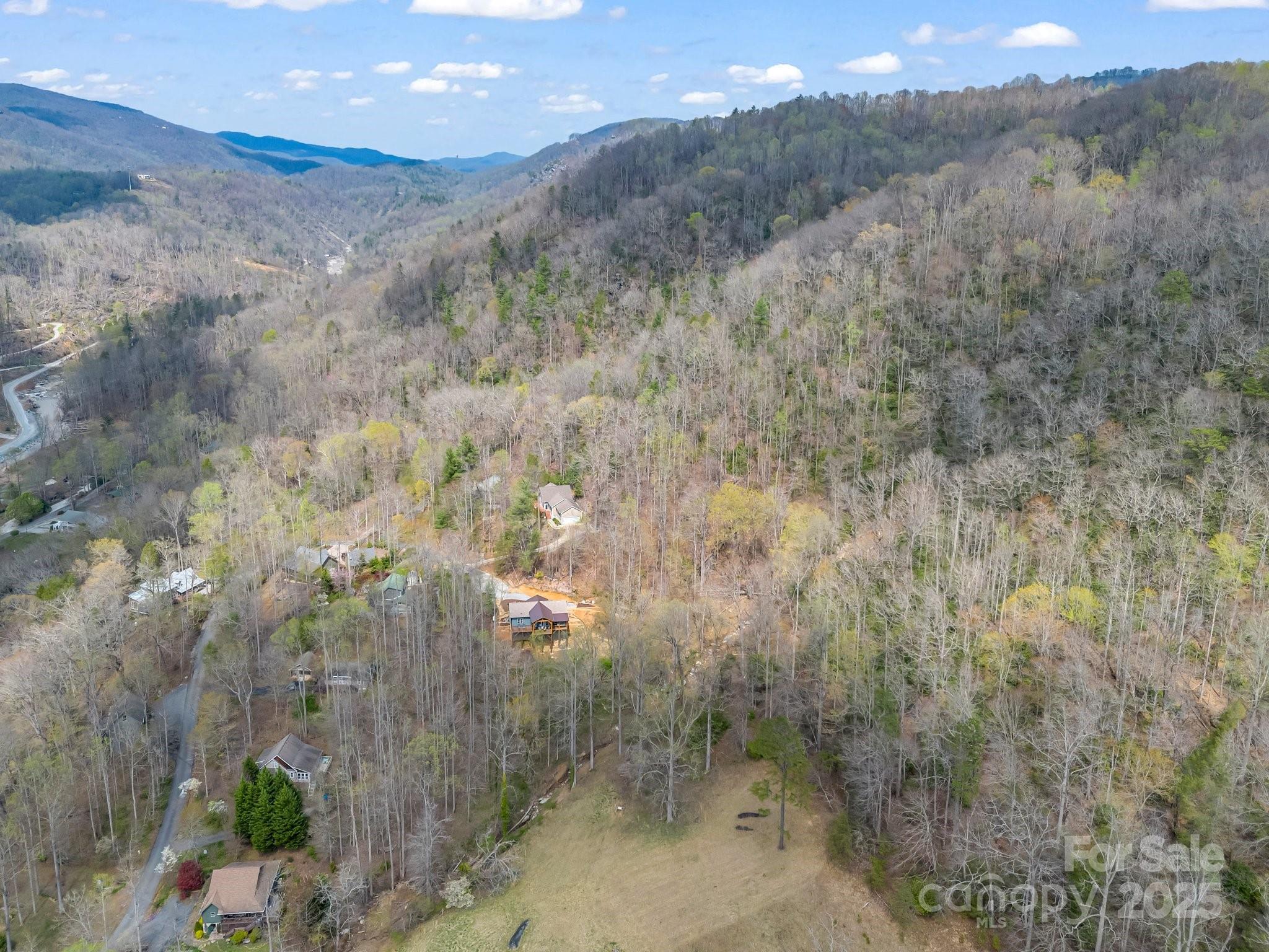 107 Twisted Birch Drive Property Photo 13