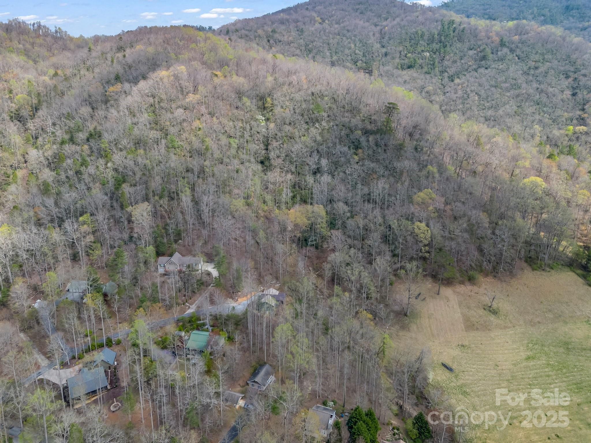 107 Twisted Birch Drive Property Photo 14