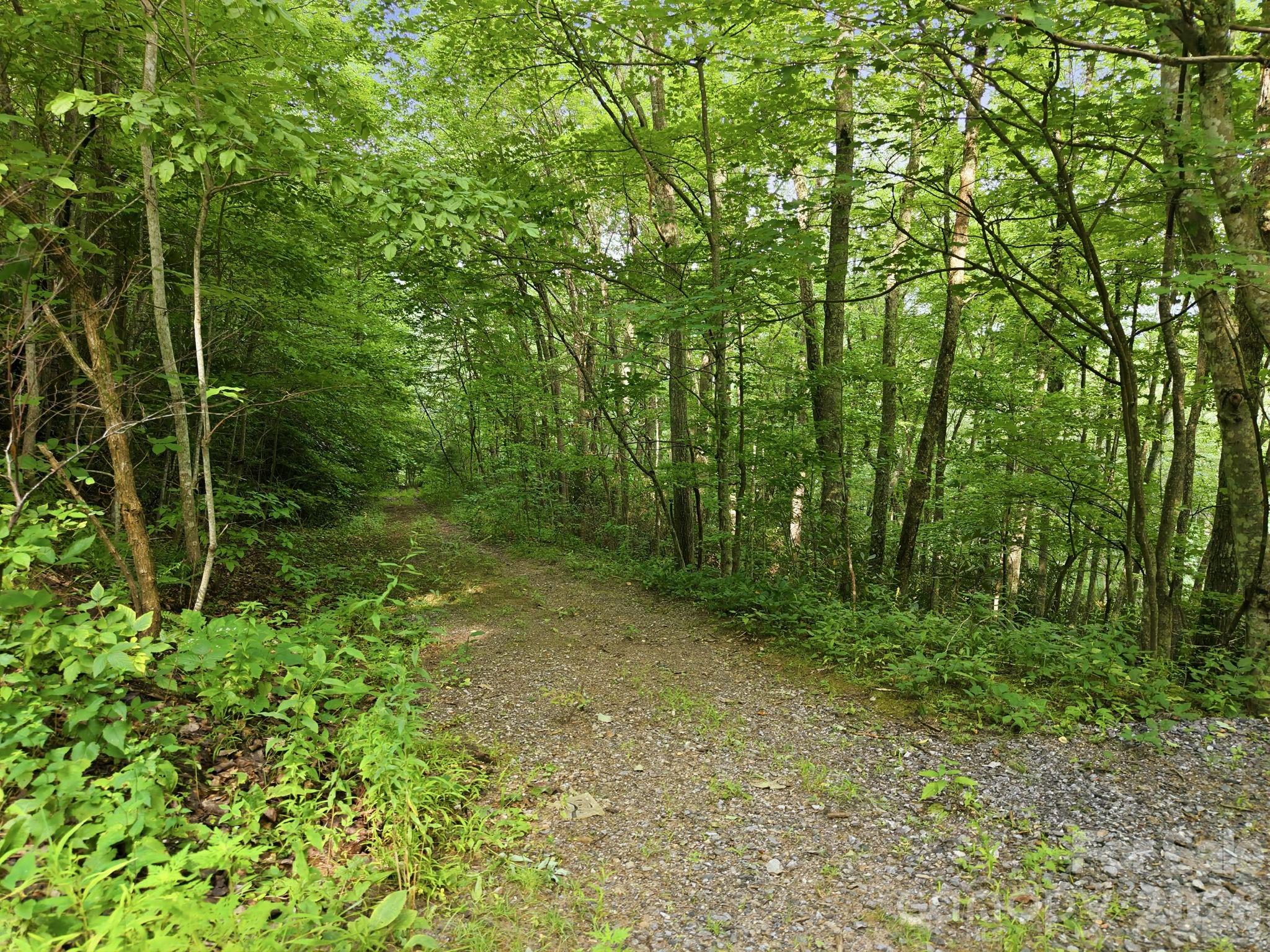 00 Seasons Drive Lot 43 Property Photo 2