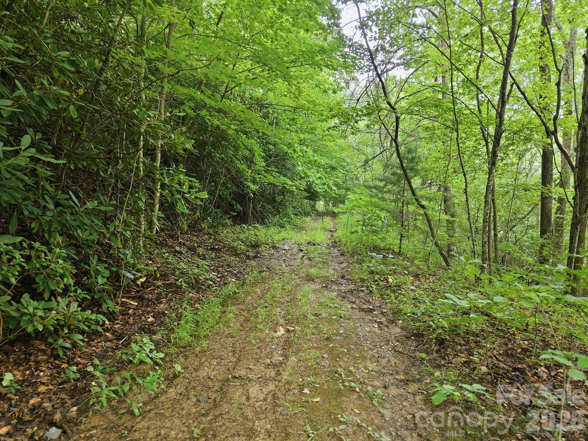 00 Seasons Drive Lot 43 Property Photo 3