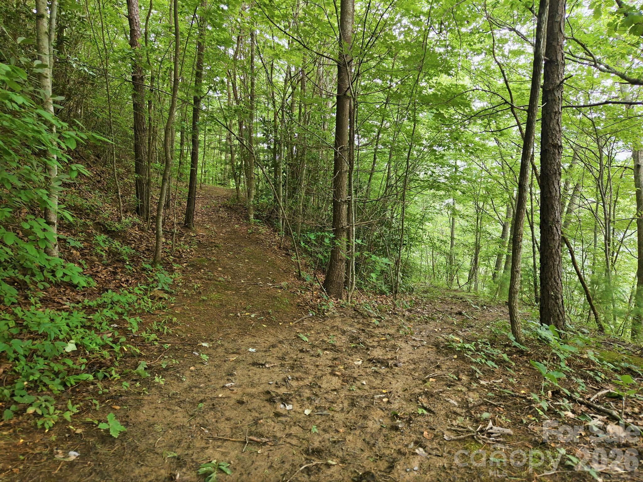 00 Seasons Drive Lot 43 Property Photo 7