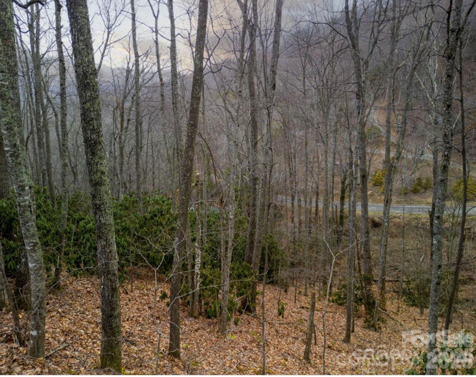 00 Seasons Drive Lot 43 Property Photo 17