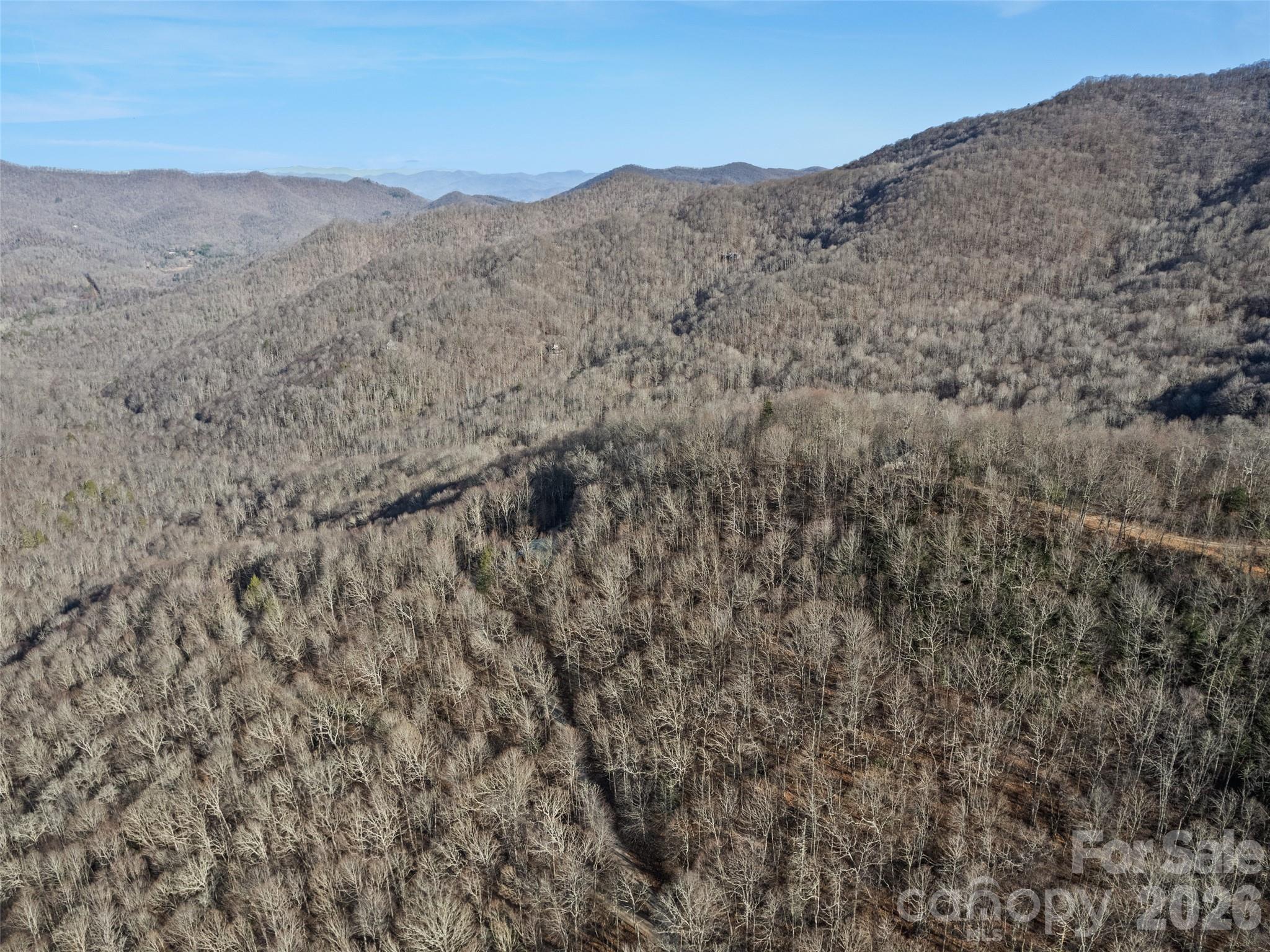 171 Sharons Bluff Property Photo 39
