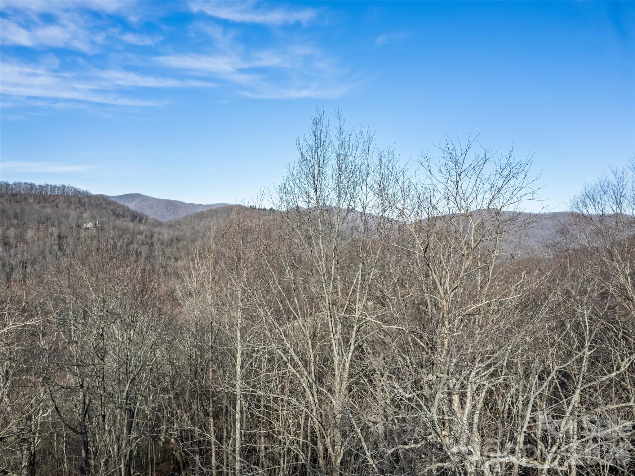 171 Sharons Bluff Property Photo 41