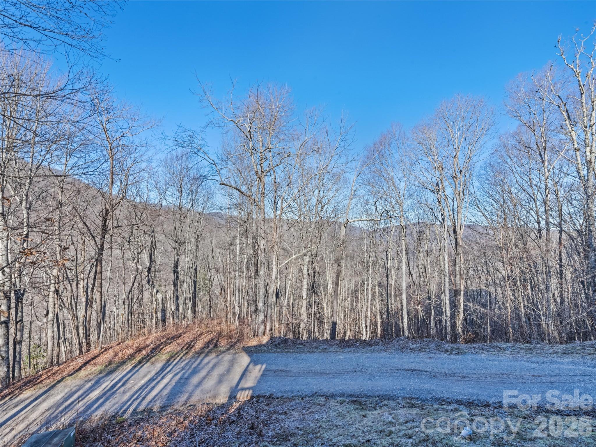 171 Sharons Bluff Property Photo 42