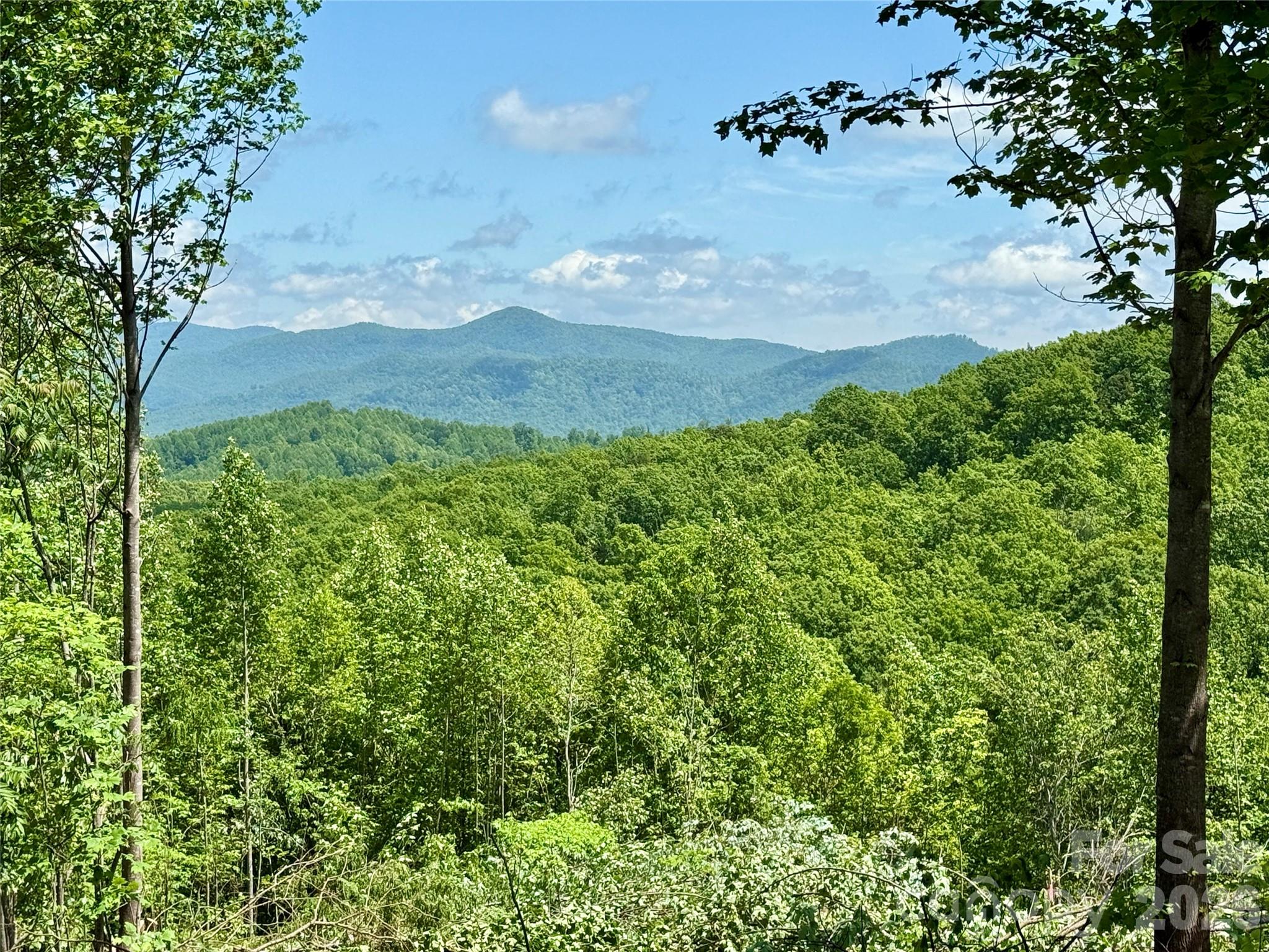 1143 Grandview Peaks Drive Property Photo 2