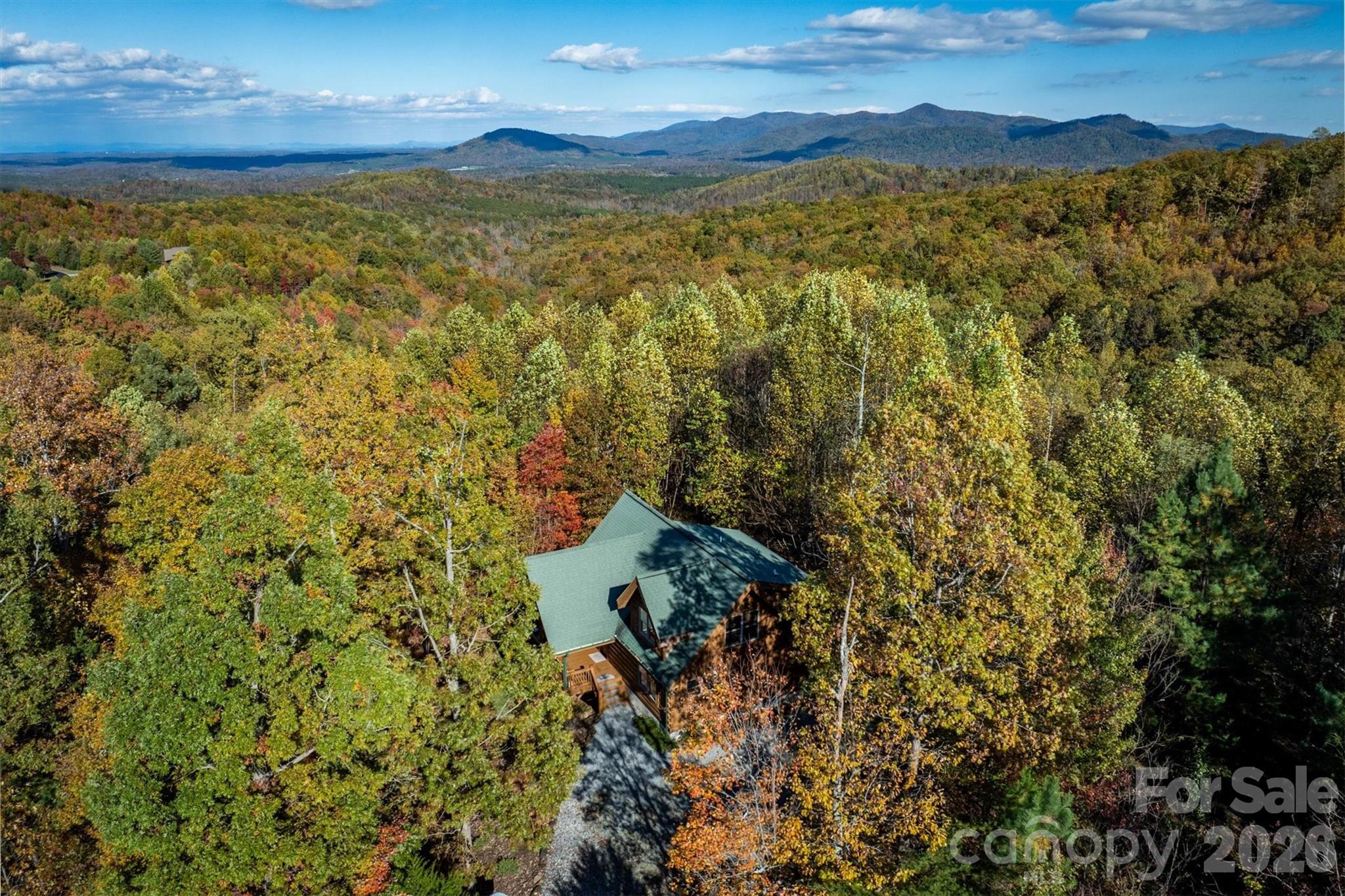 1143 Grandview Peaks Drive Property Photo 11