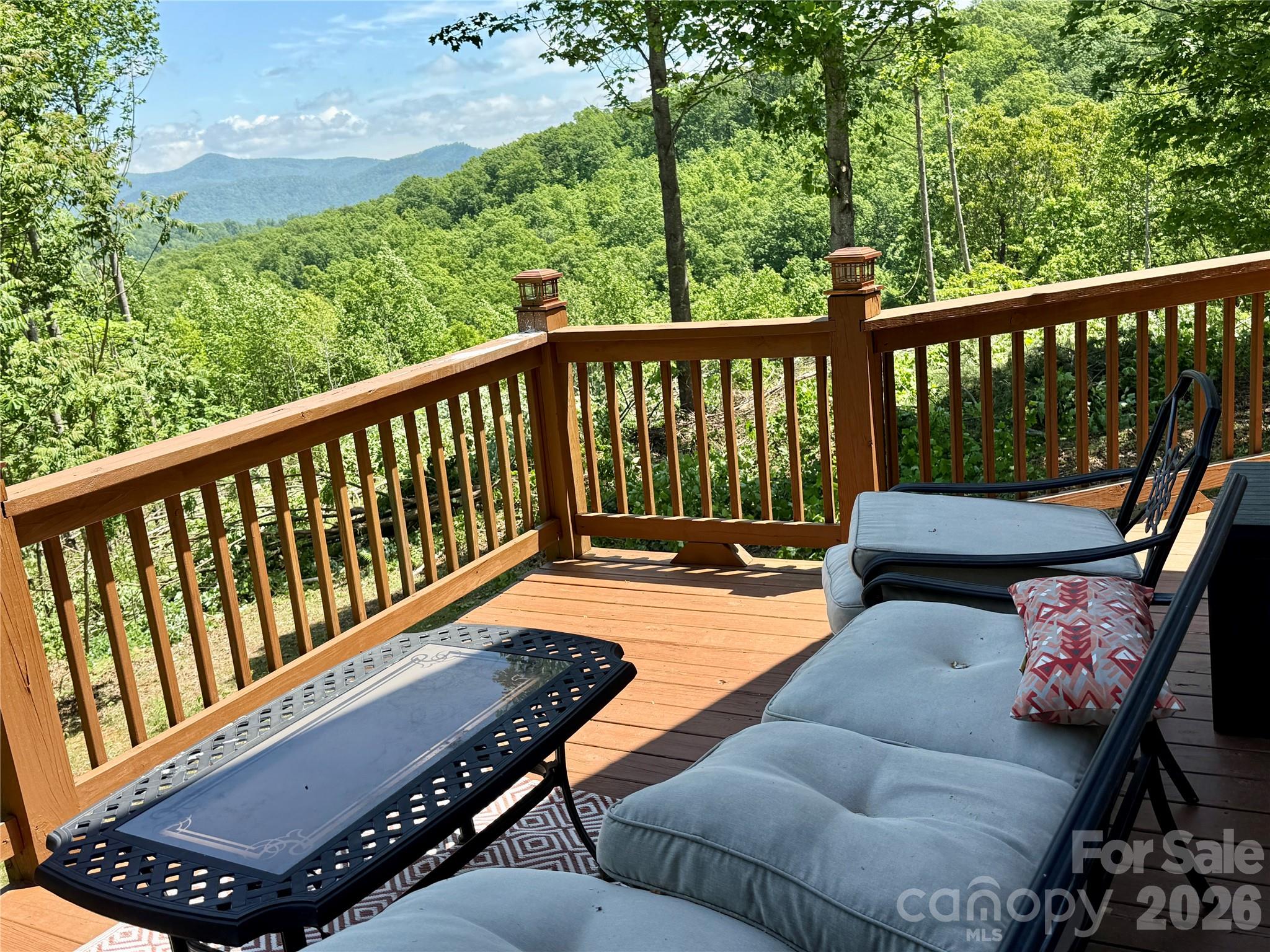 1143 Grandview Peaks Drive Property Photo 13