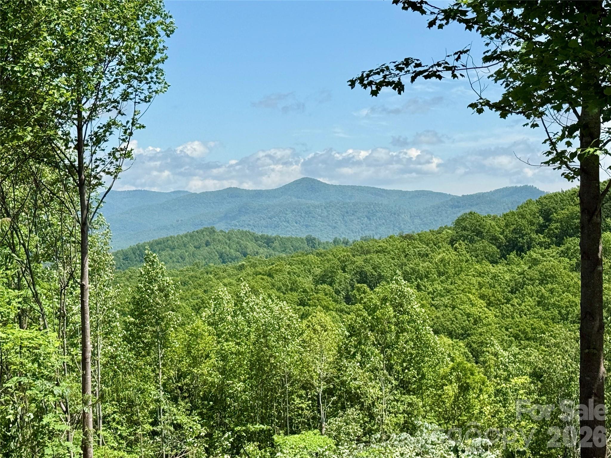1143 Grandview Peaks Drive Property Photo 15
