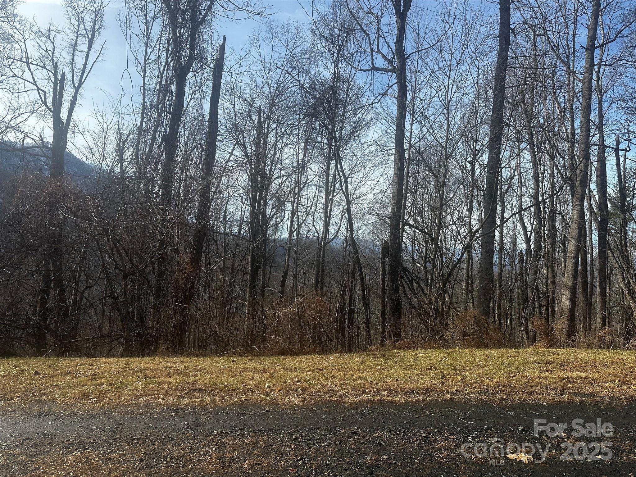 0 Wild Turkey Road 21 Property Photo 1