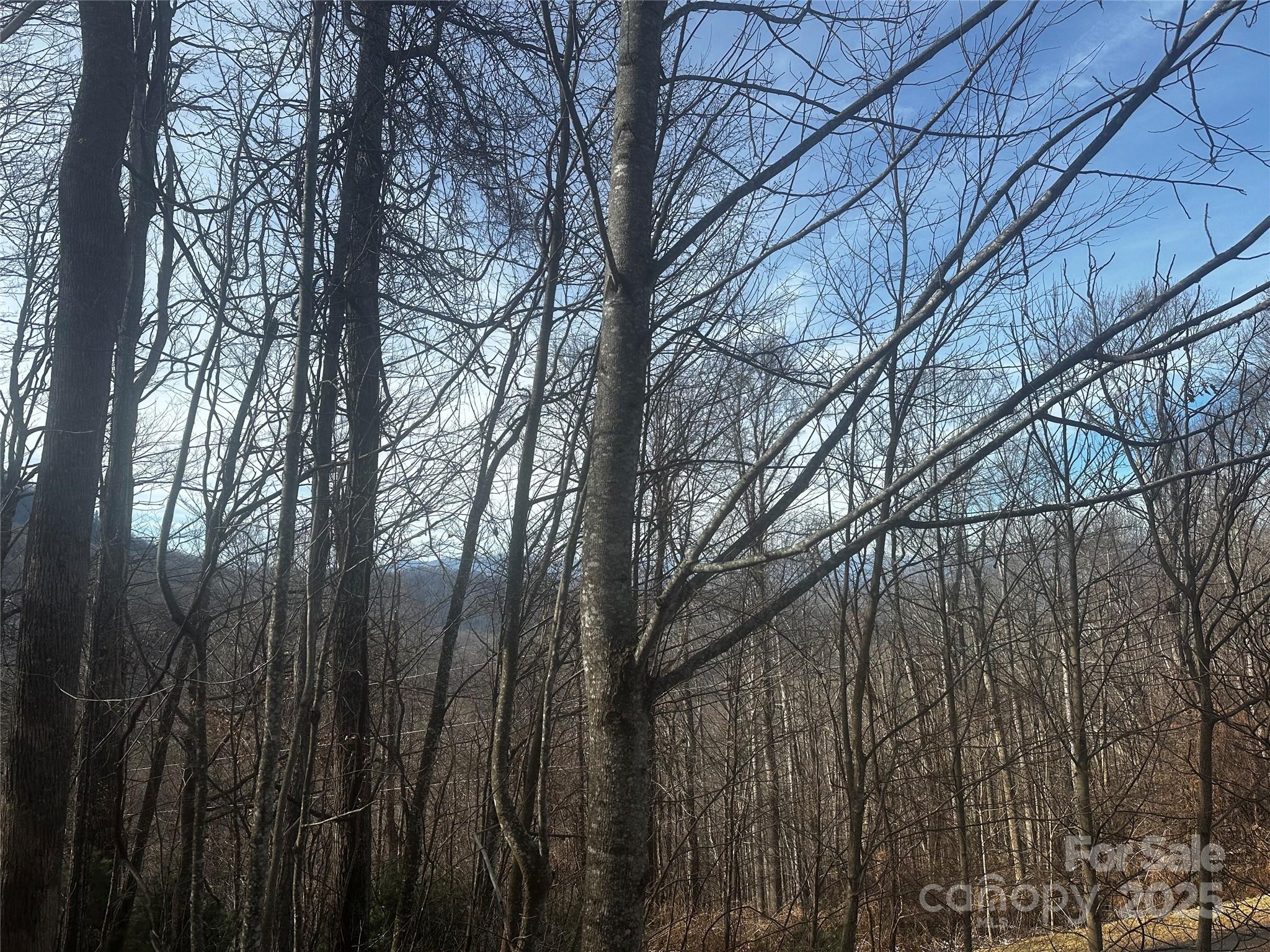 0 Wild Turkey Road 21 Property Photo 2