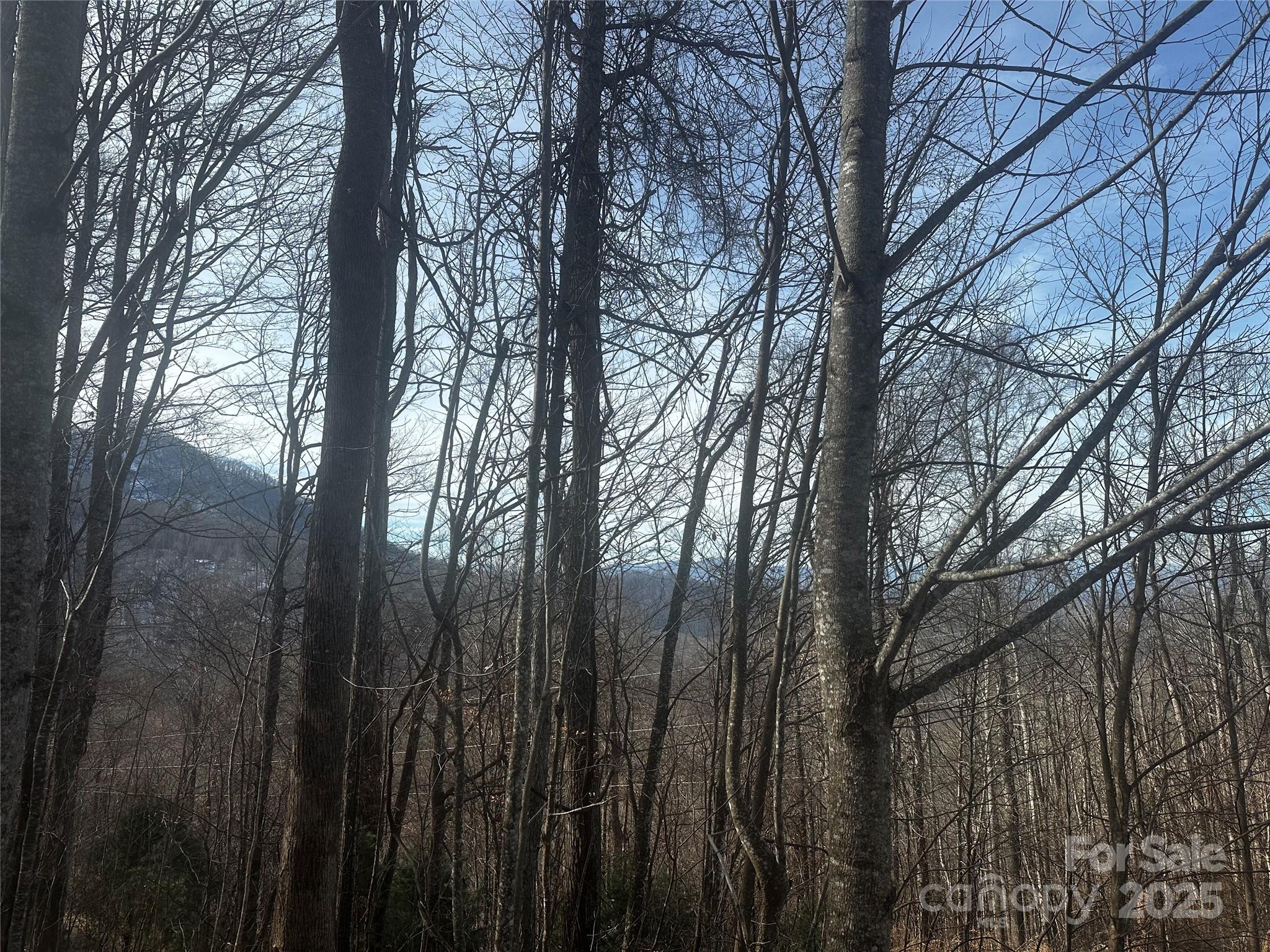 0 Wild Turkey Road 21 Property Photo 3