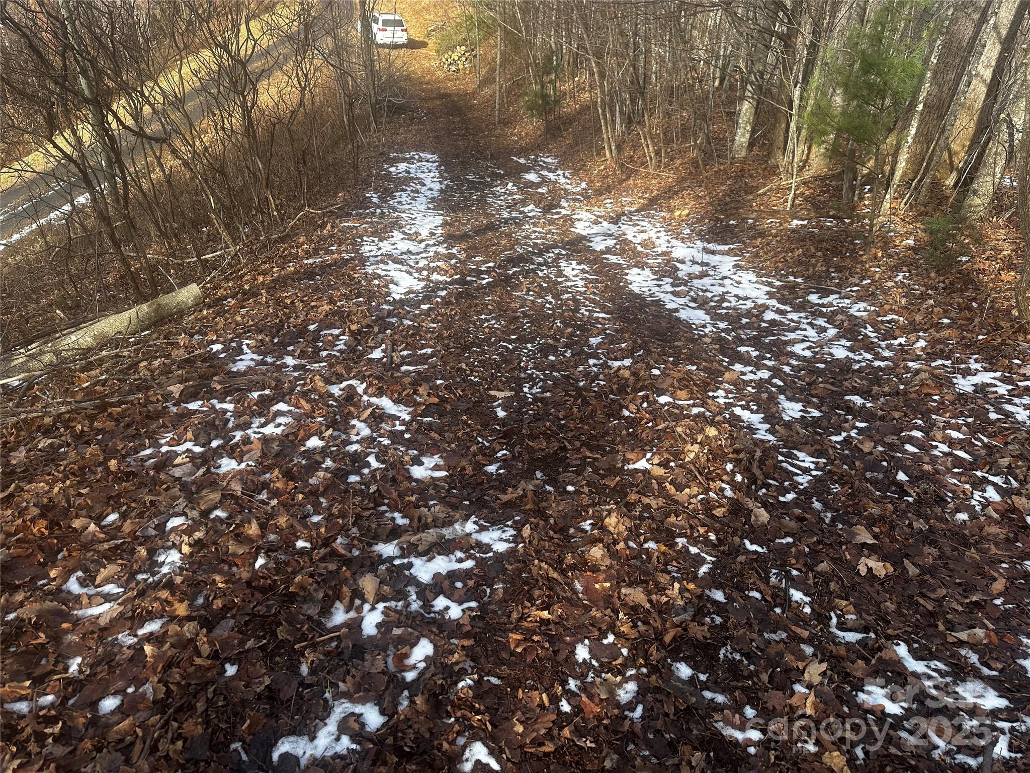 0 Wild Turkey Road 21 Property Photo 4