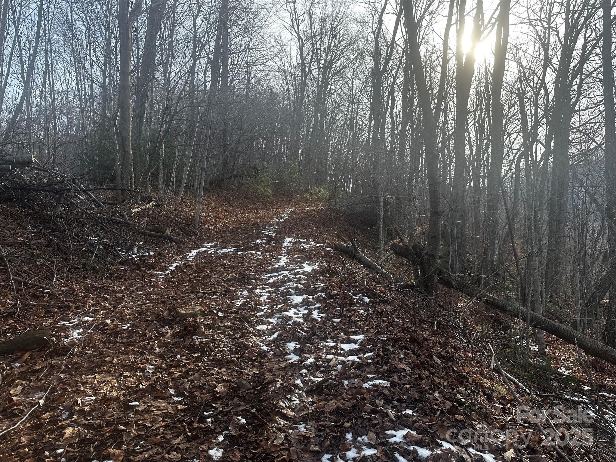 0 Wild Turkey Road 21 Property Photo 5