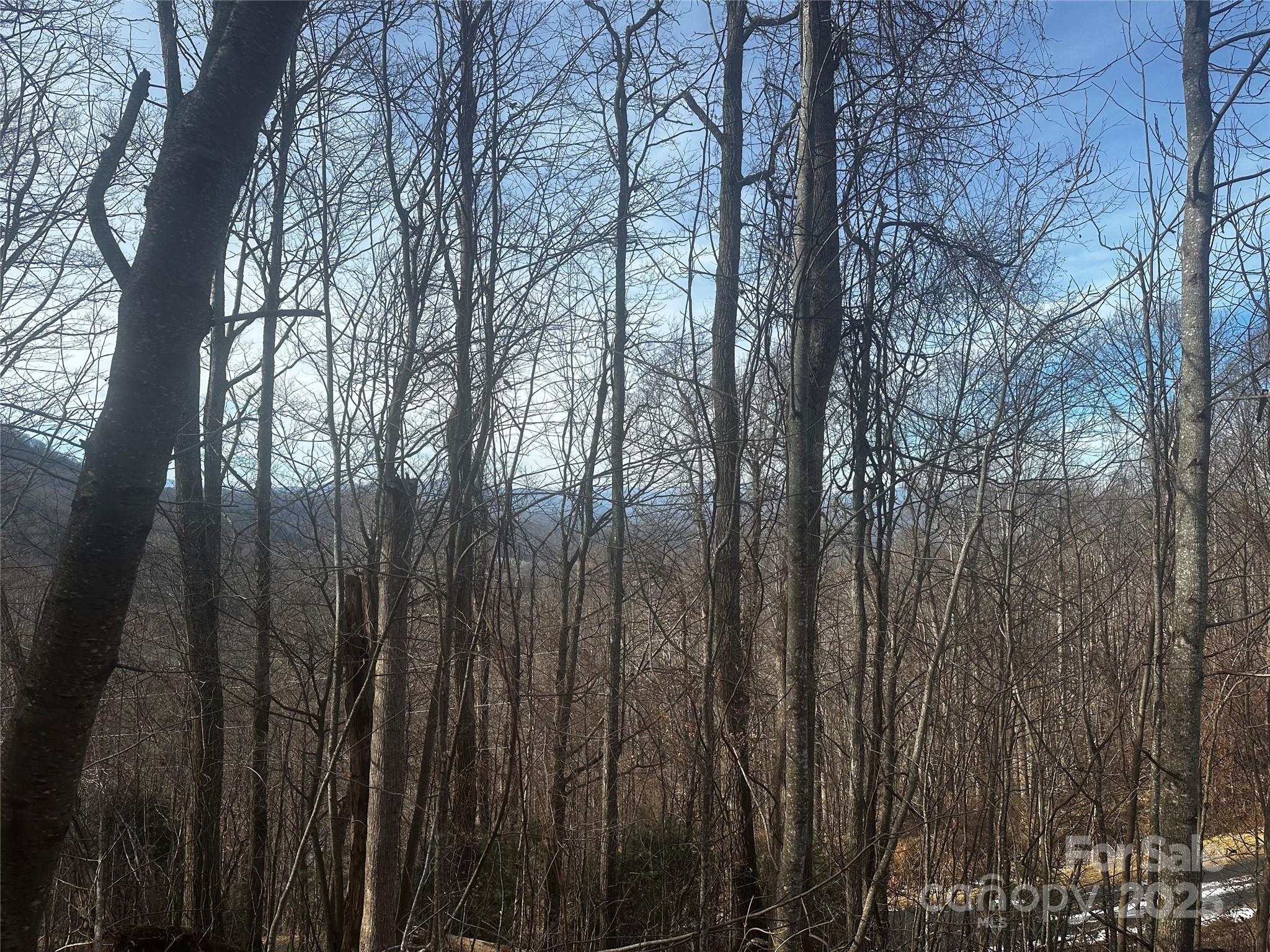 0 Wild Turkey Road 21 Property Photo 6
