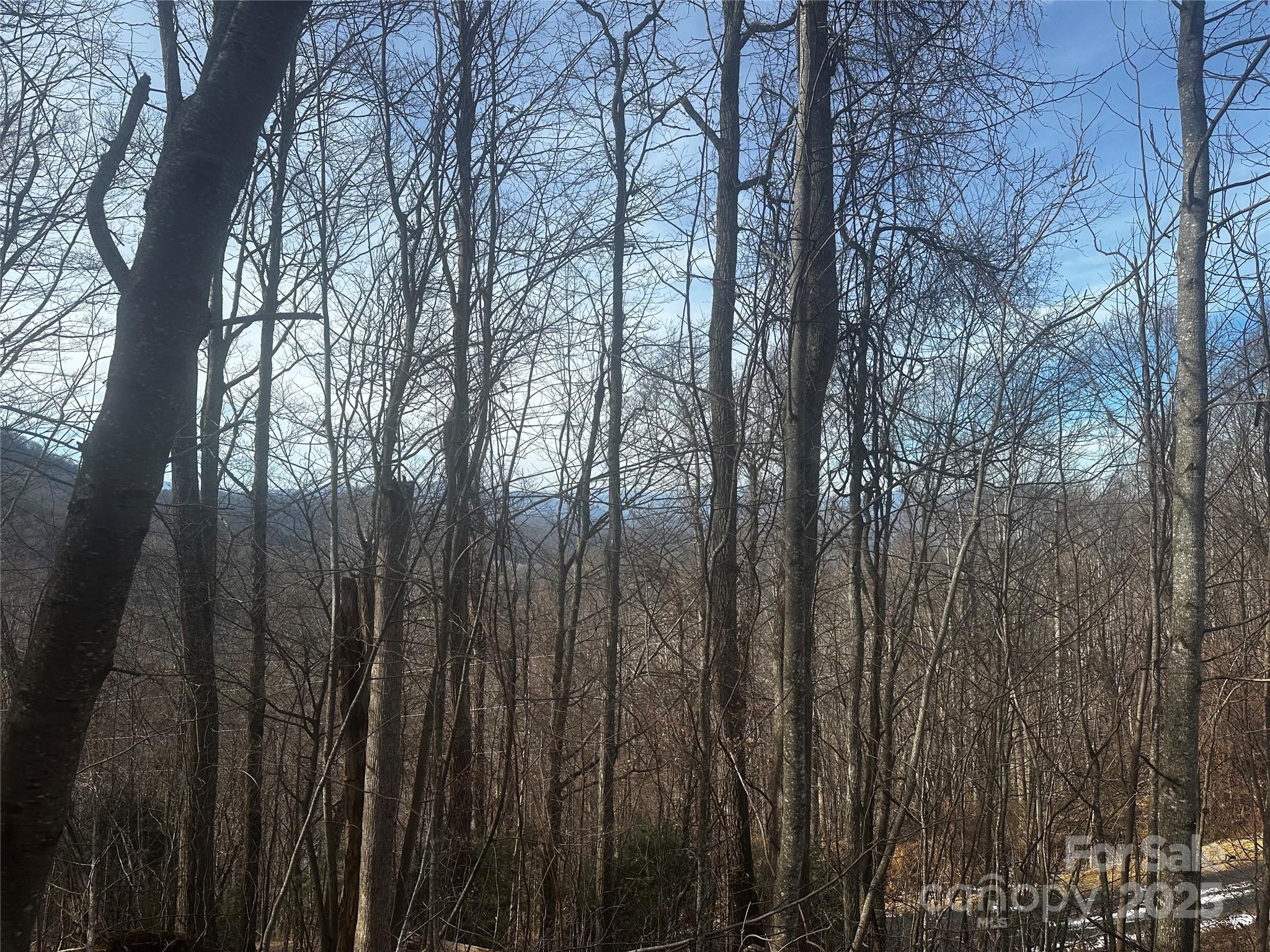 0 Wild Turkey Road 21 Property Photo 7