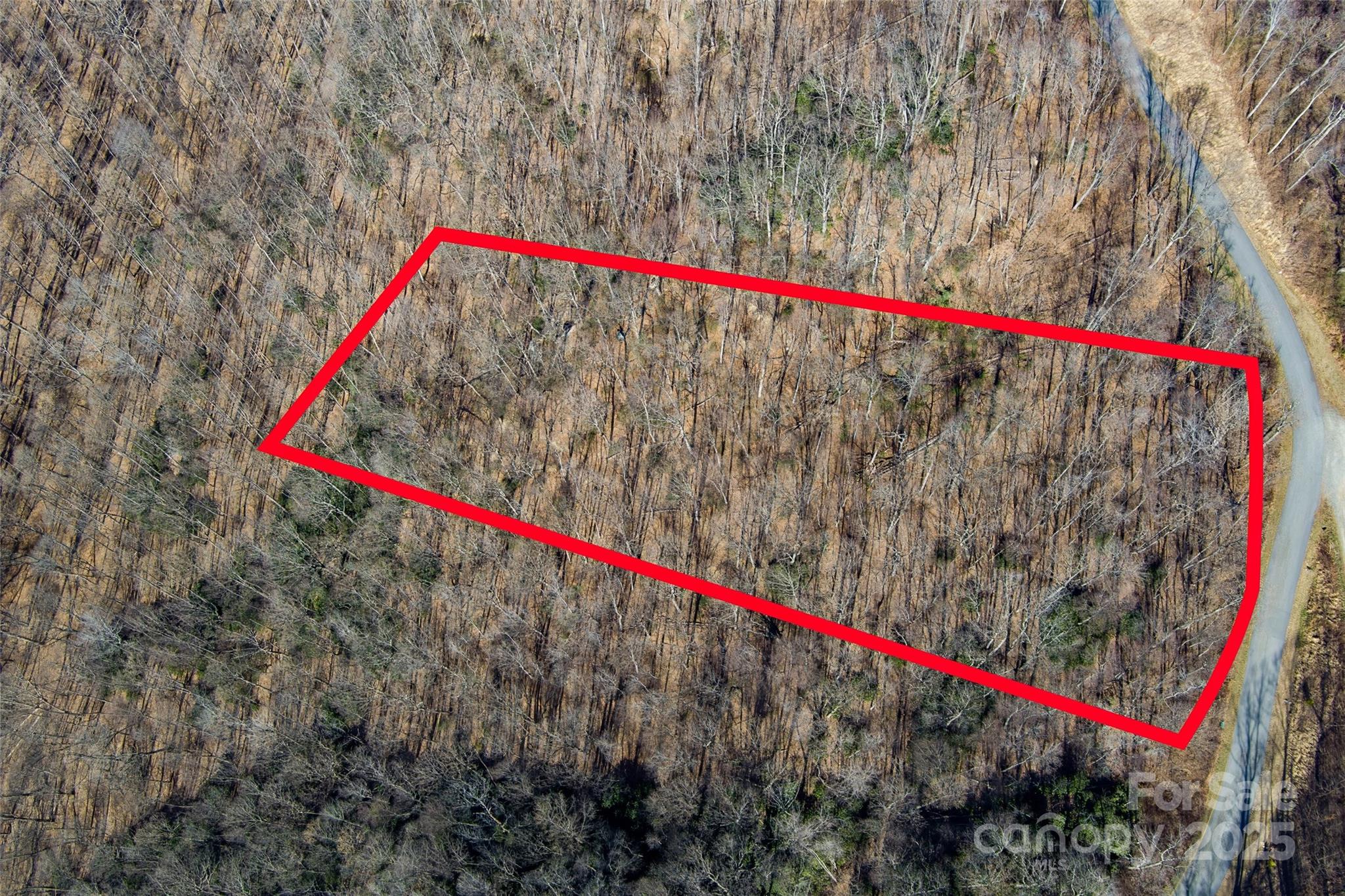 00 Summit View Drive Property Photo 11