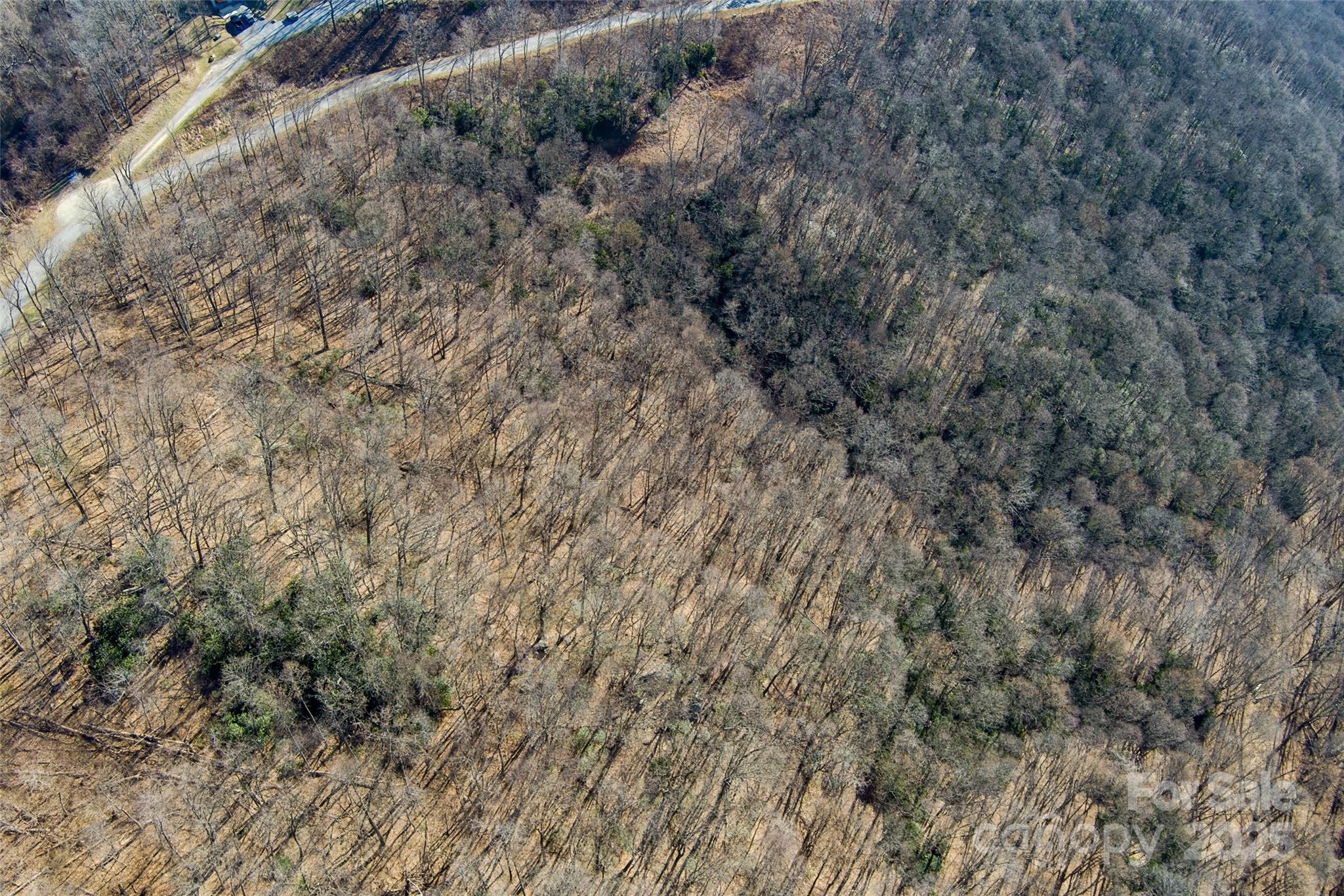 00 Summit View Drive Property Photo 15
