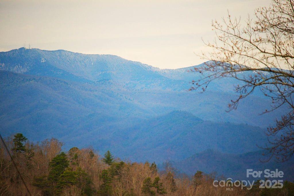 00 Jarrell Loop Property Photo 2