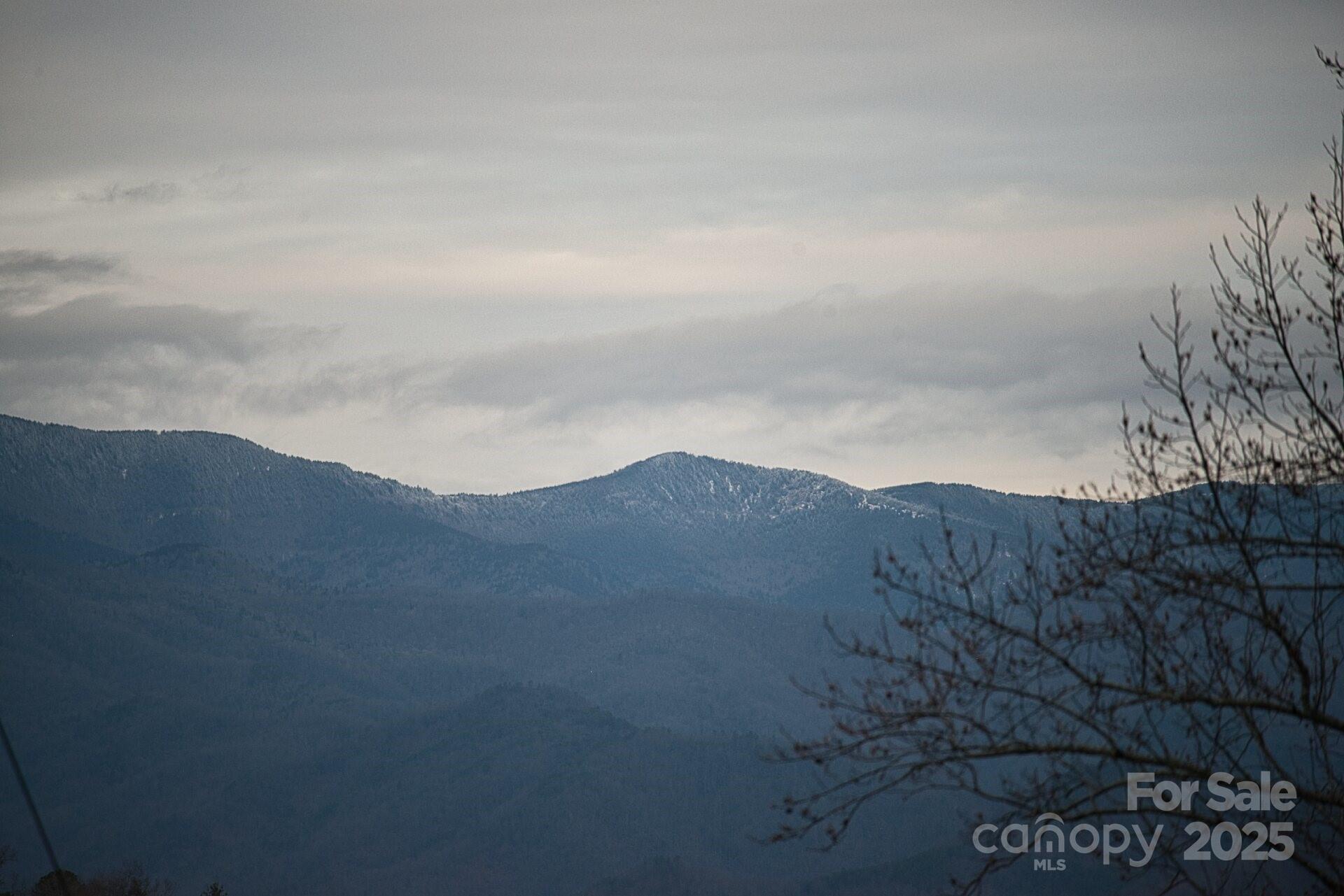 00 Jarrell Loop Property Photo 3