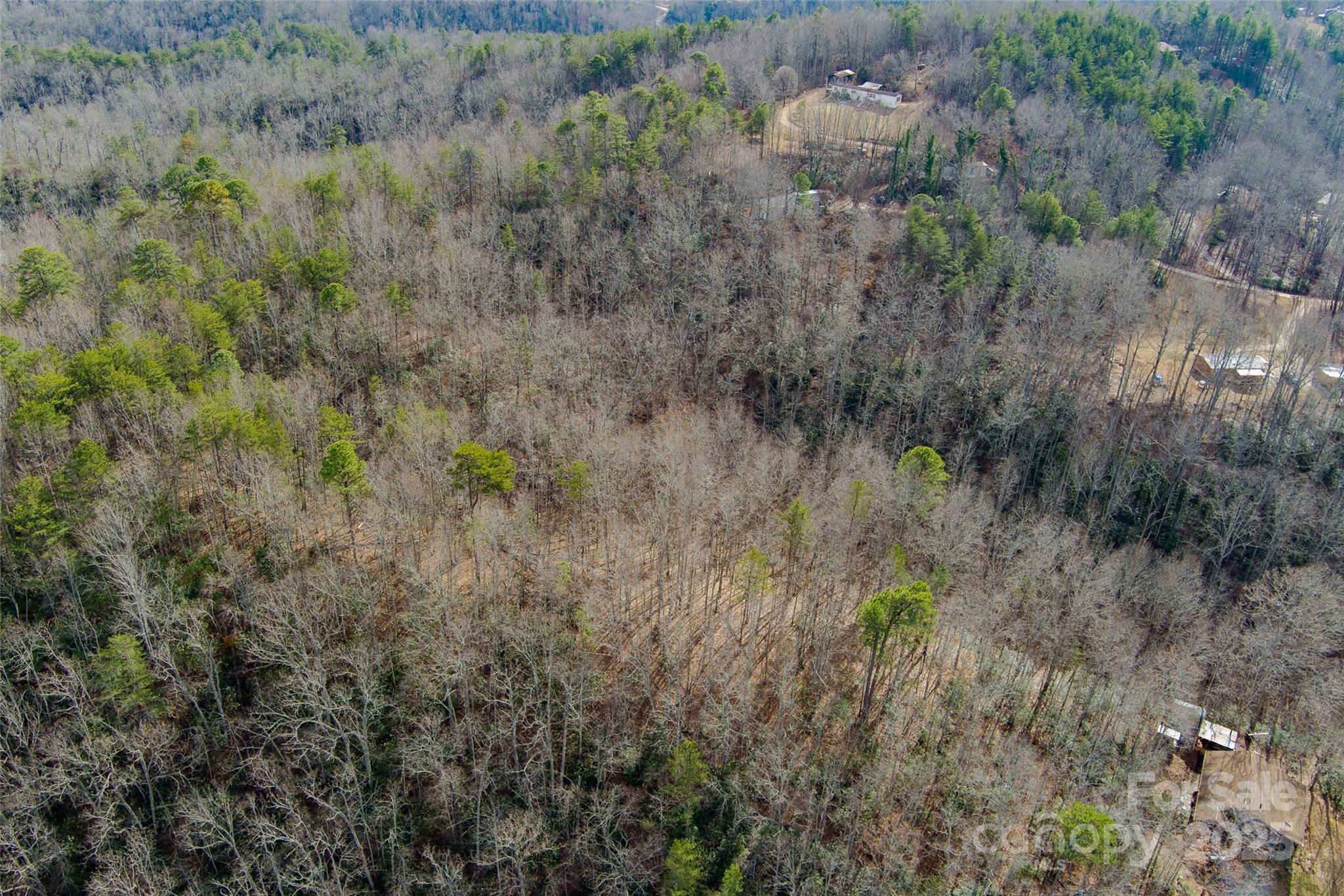 00 Jarrell Loop Property Photo 9