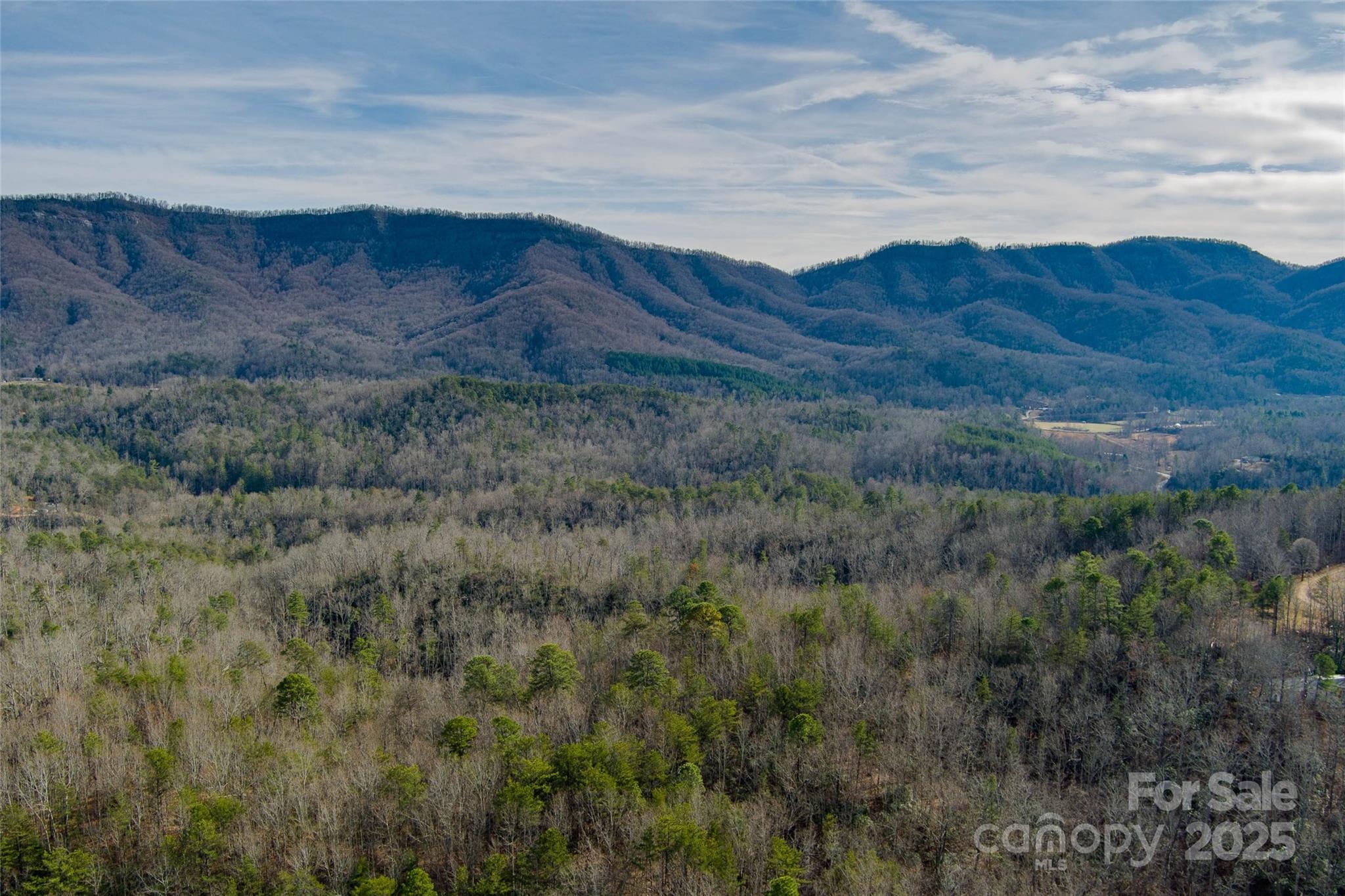 00 Jarrell Loop Property Photo 10
