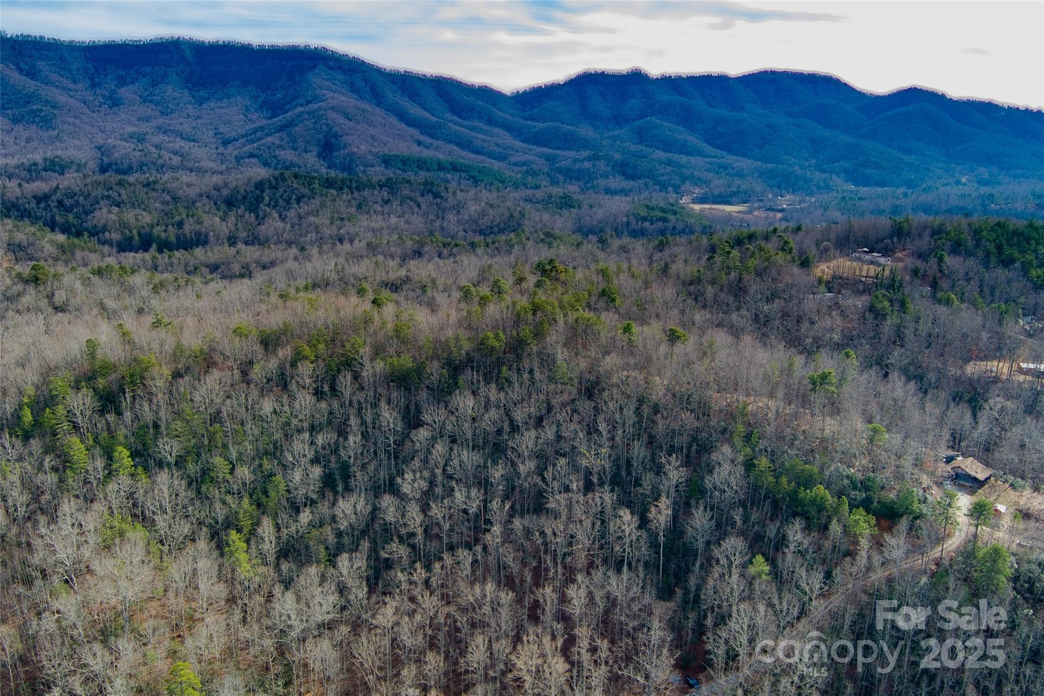 00 Jarrell Loop Property Photo 11