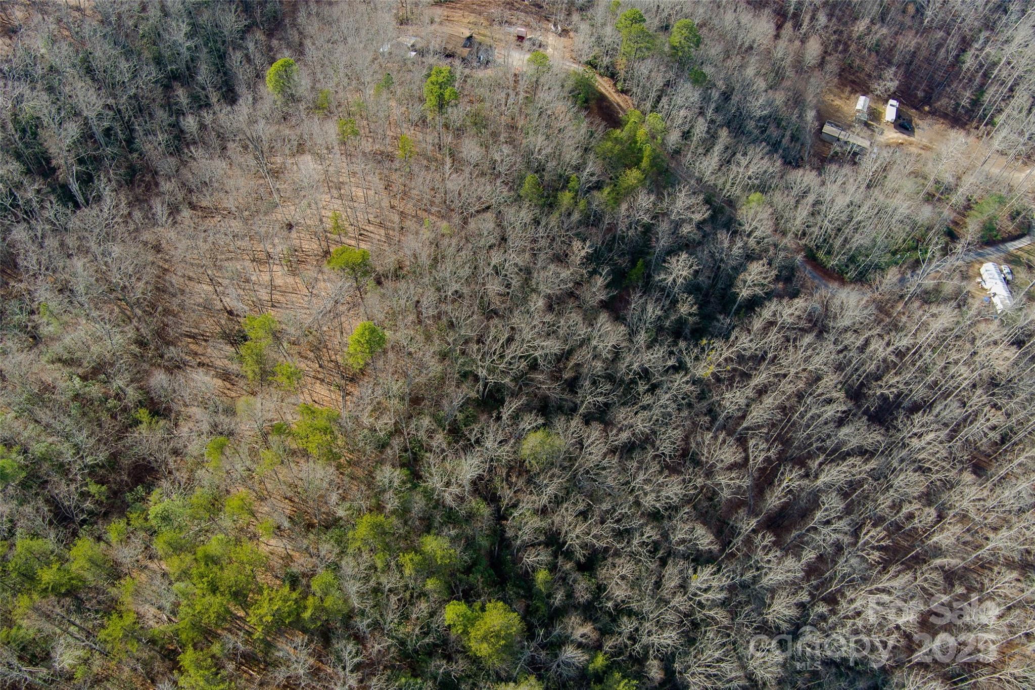 00 Jarrell Loop Property Photo 13