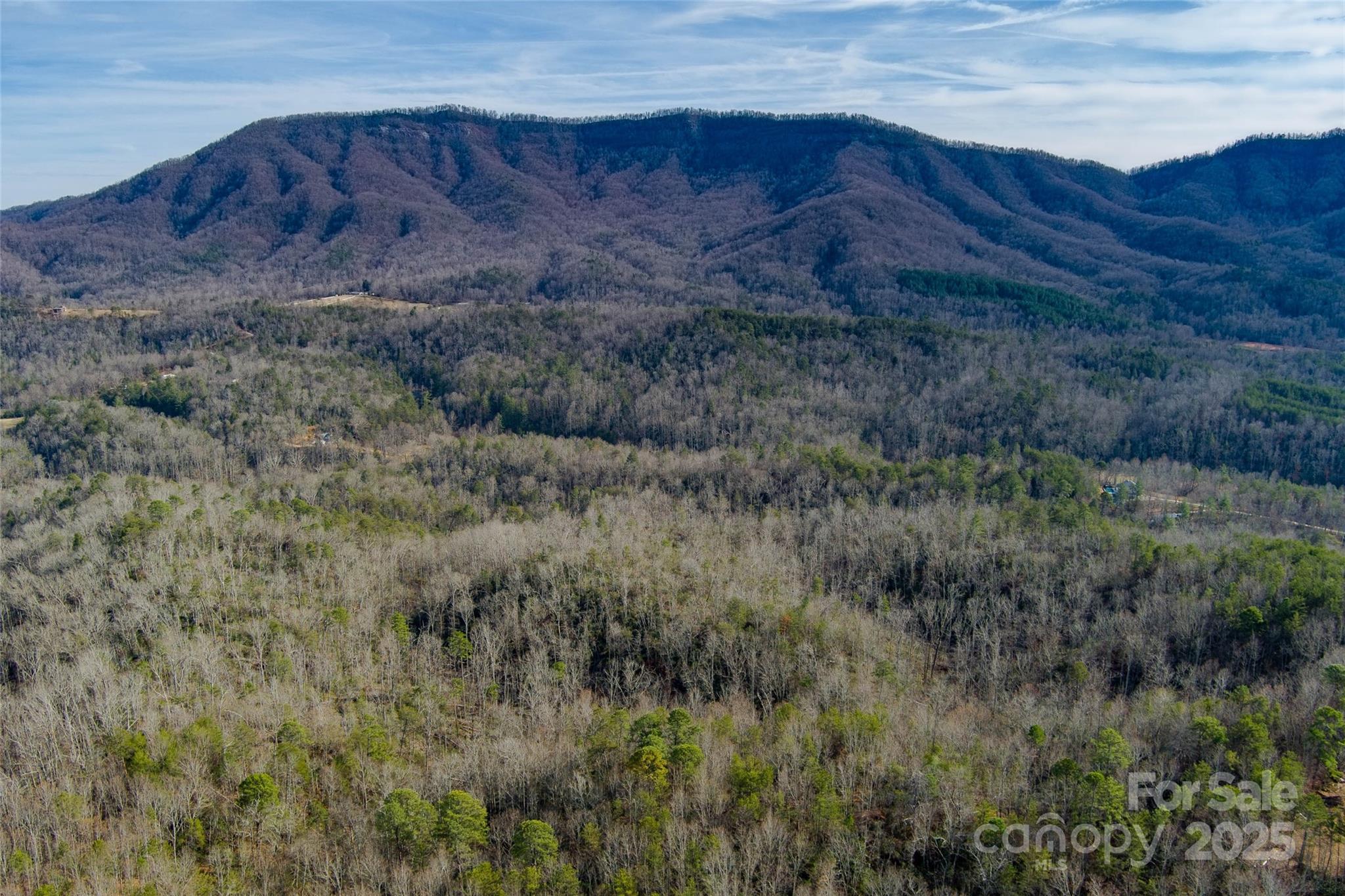 00 Jarrell Loop Property Photo 14