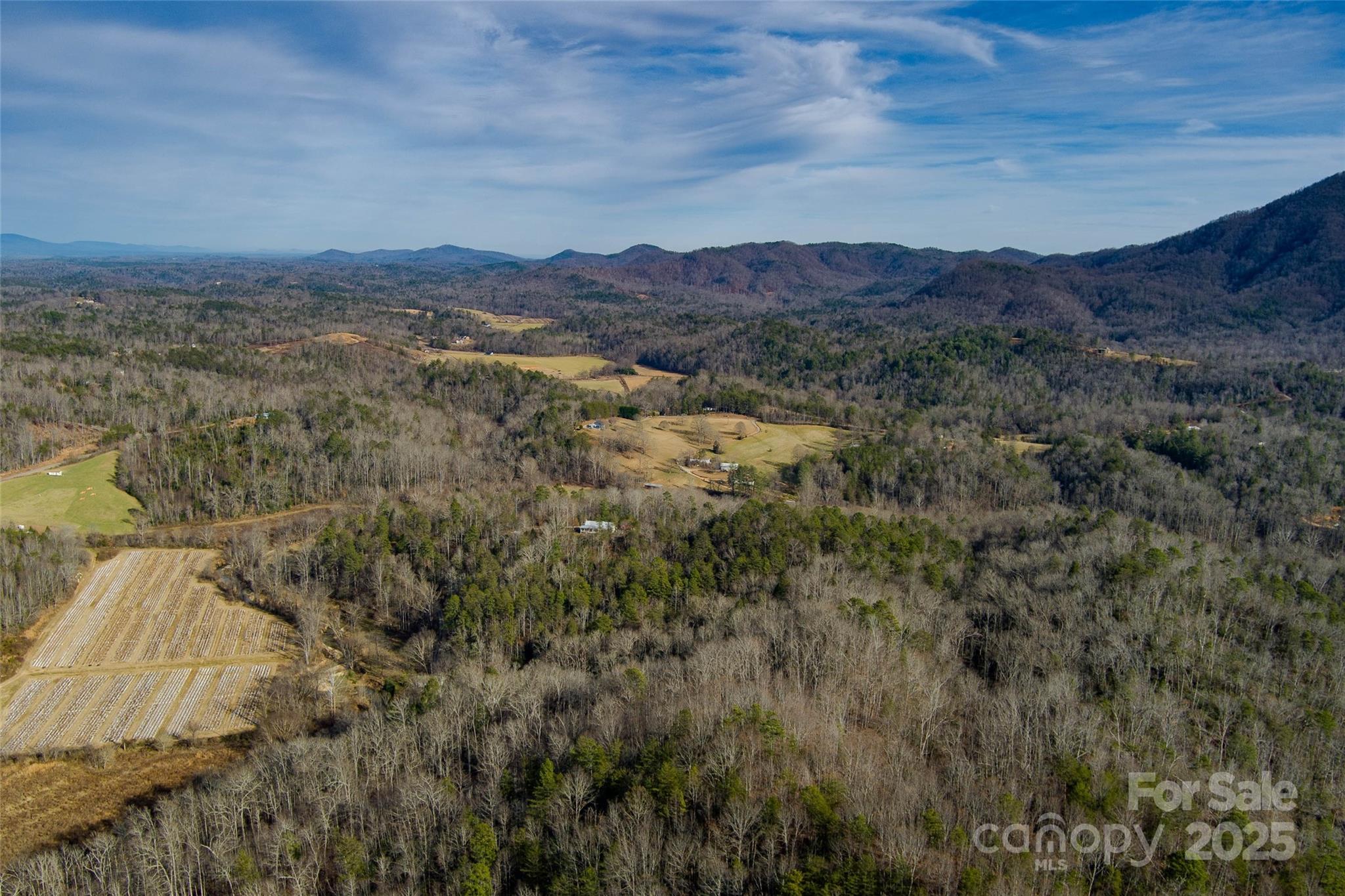 00 Jarrell Loop Property Photo 17
