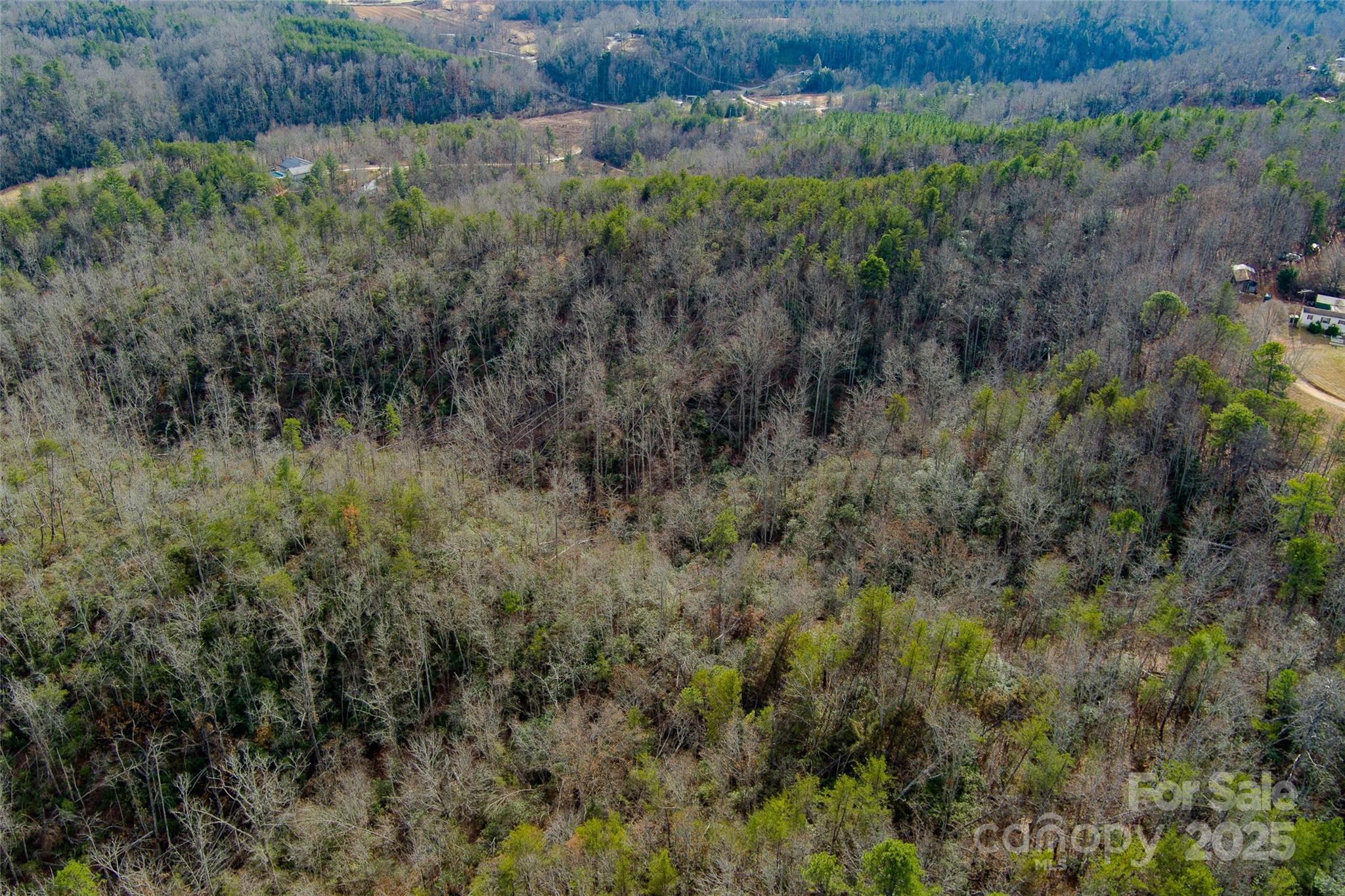00 Jarrell Loop Property Photo 19