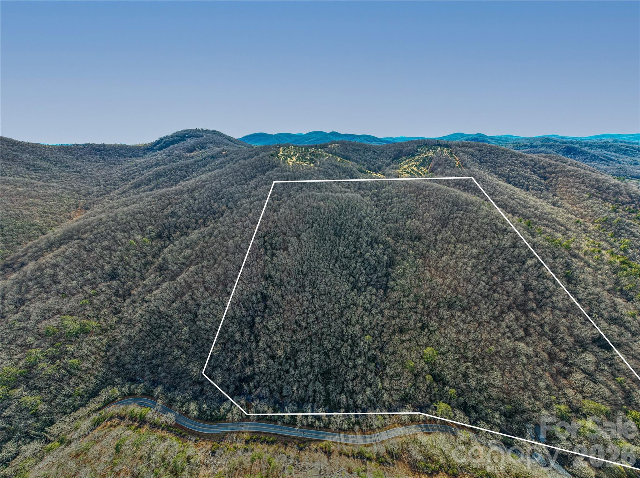 Tbd Tannassee Creek Road Property Photo 3