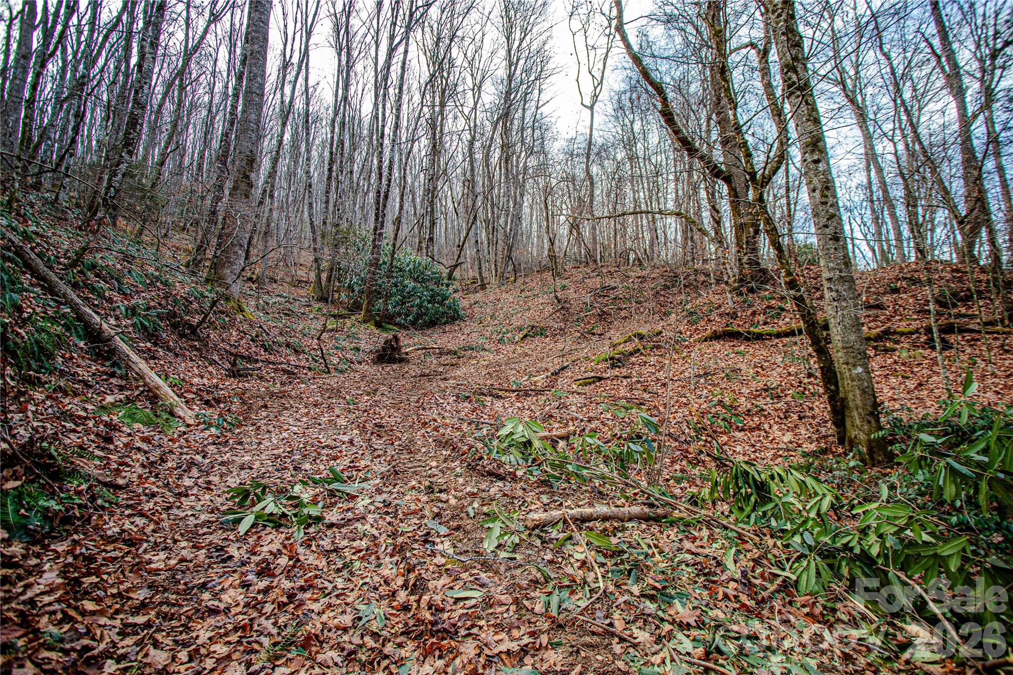 Tbd Tannassee Creek Road Property Photo 4