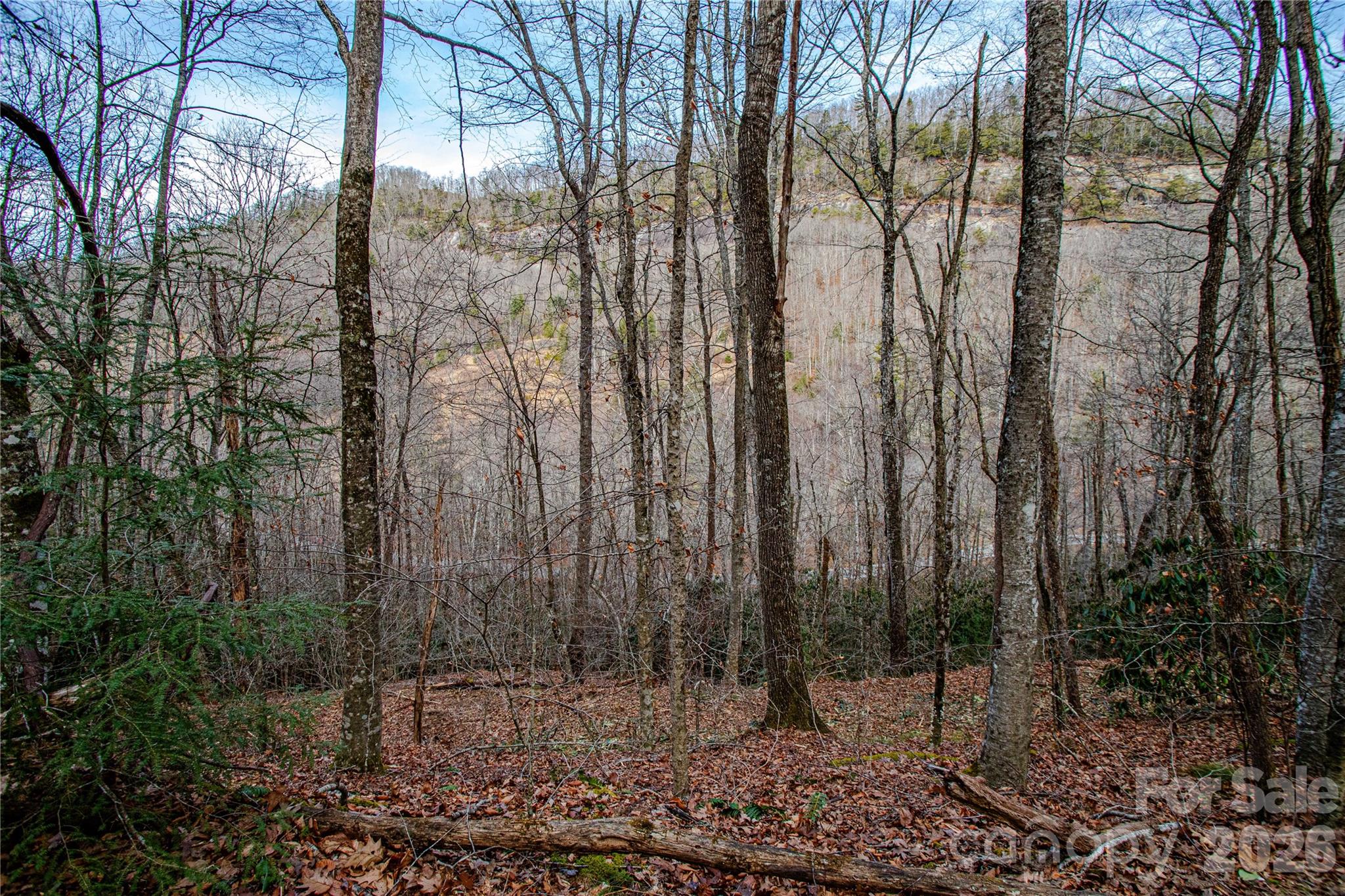 Tbd Tannassee Creek Road Property Photo 5
