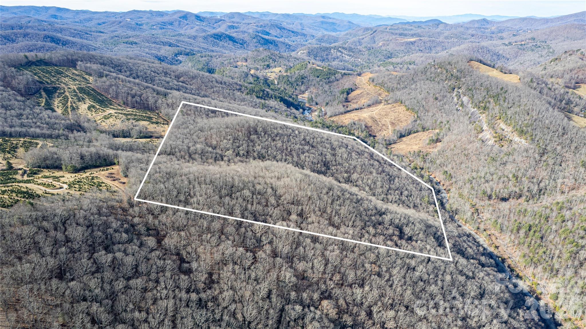 Tbd Tannassee Creek Road Property Photo 8