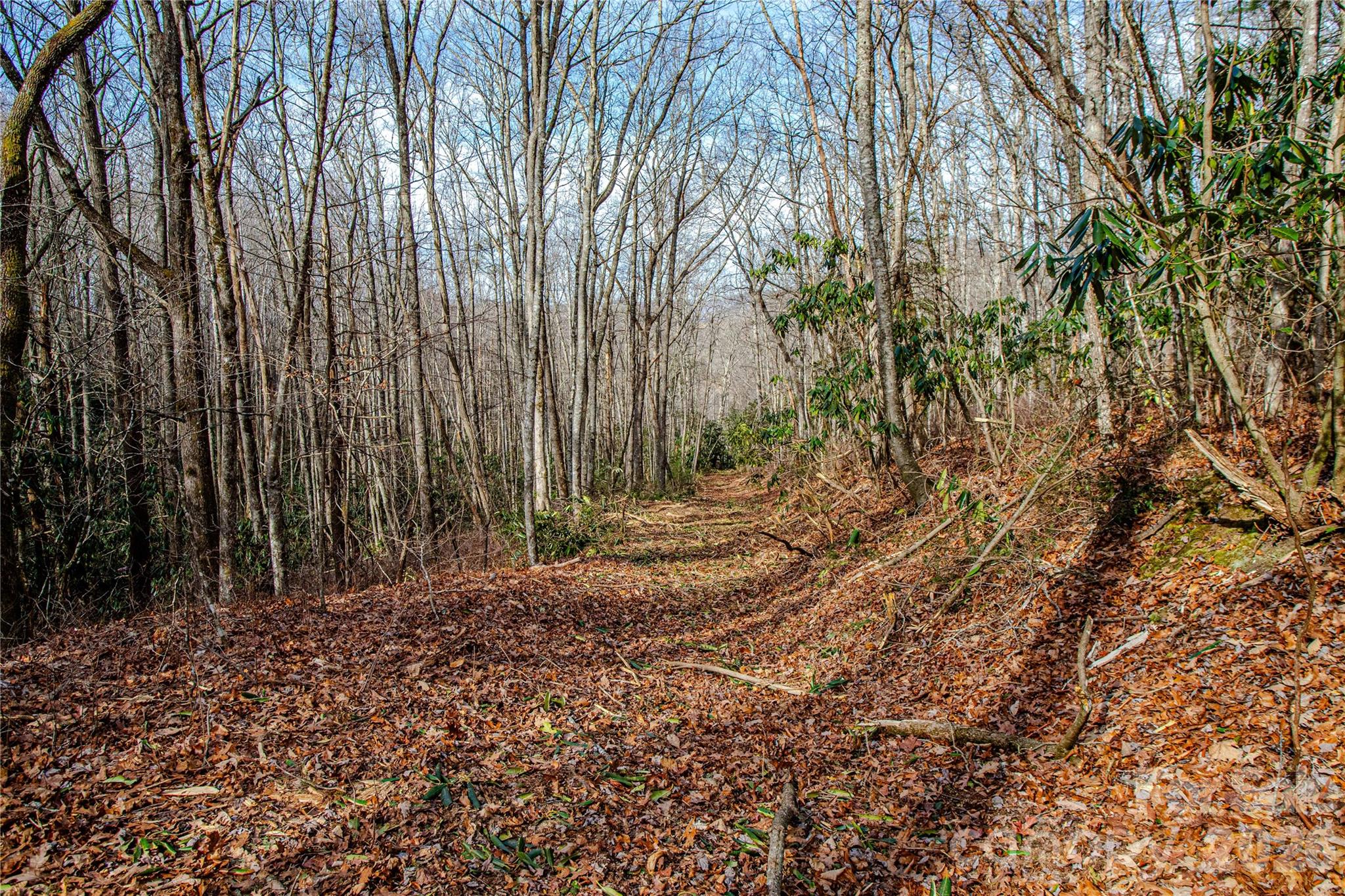 Tbd Tannassee Creek Road Property Photo 12