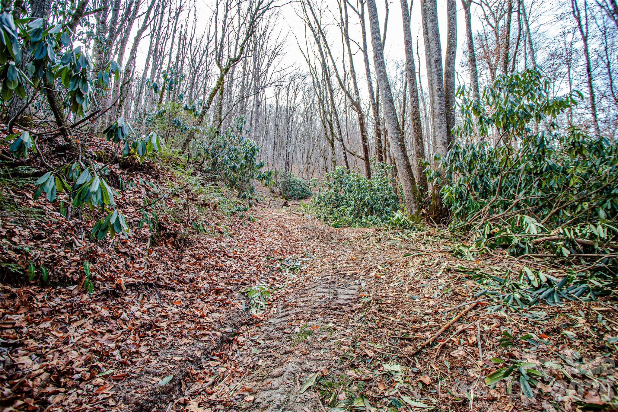Tbd Tannassee Creek Road Property Photo 15