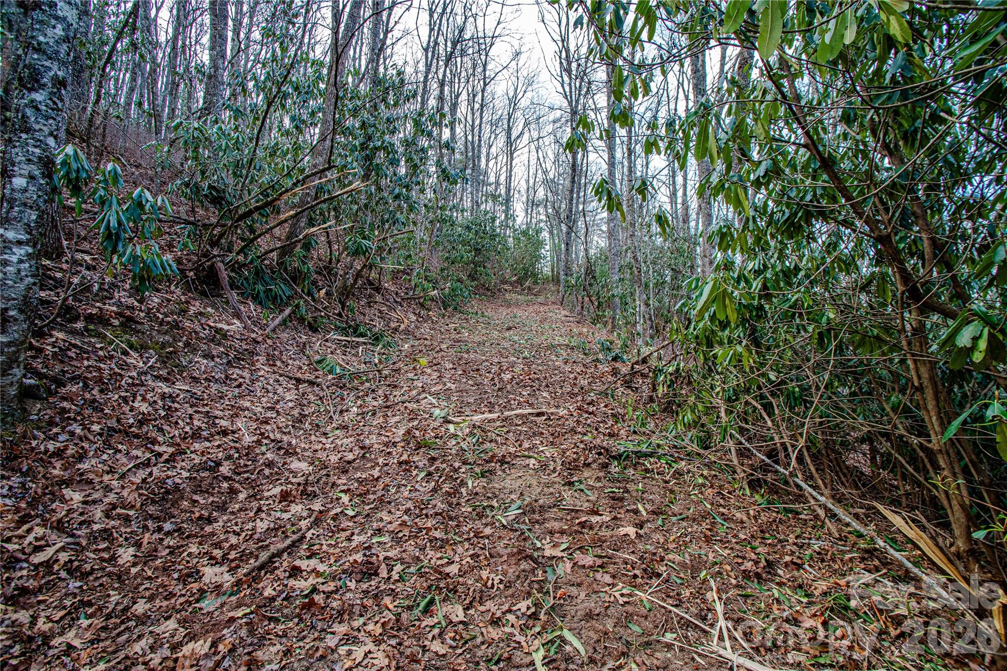 Tbd Tannassee Creek Road Property Photo 17