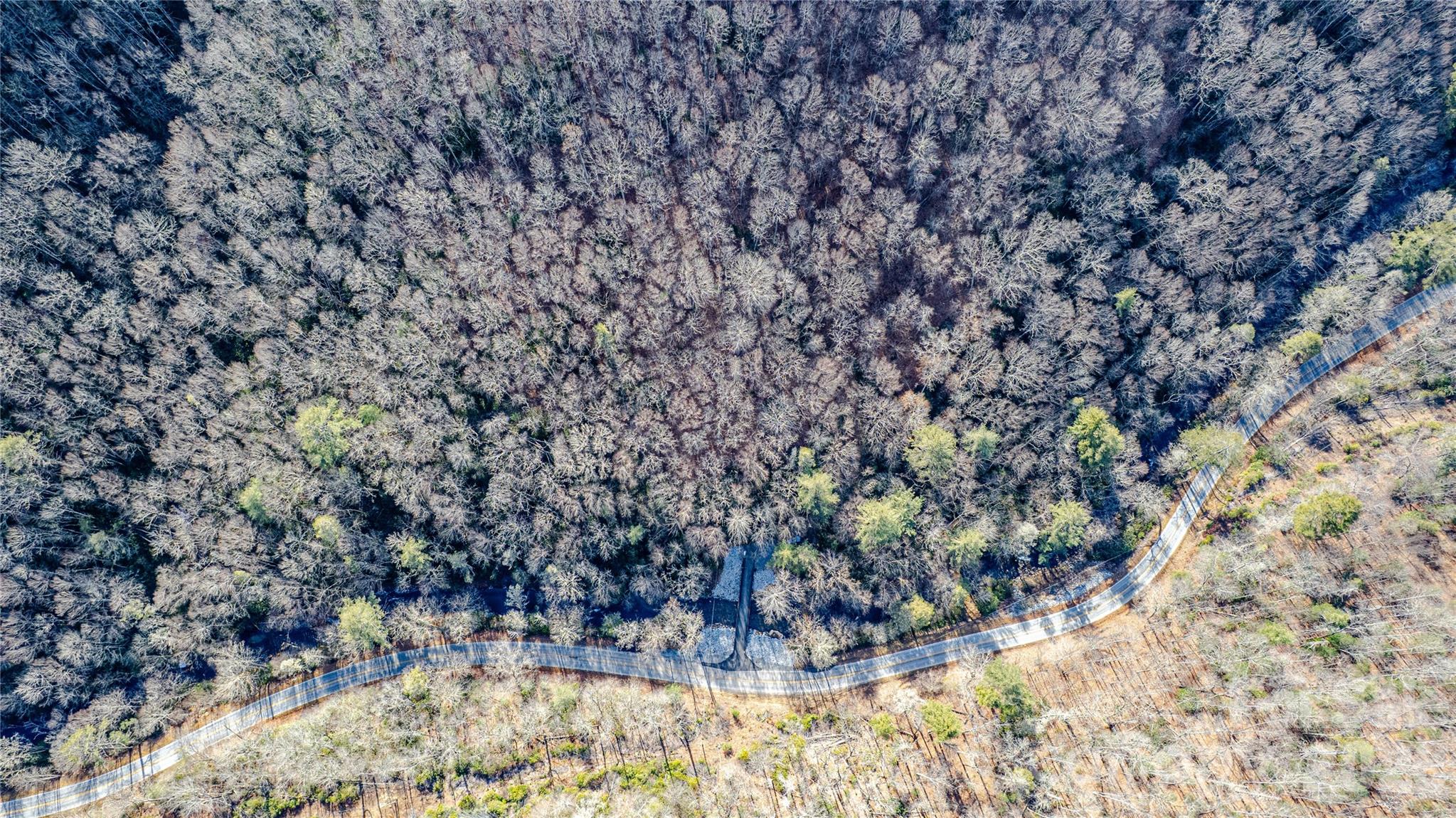 Tbd Tannassee Creek Road Property Photo 18