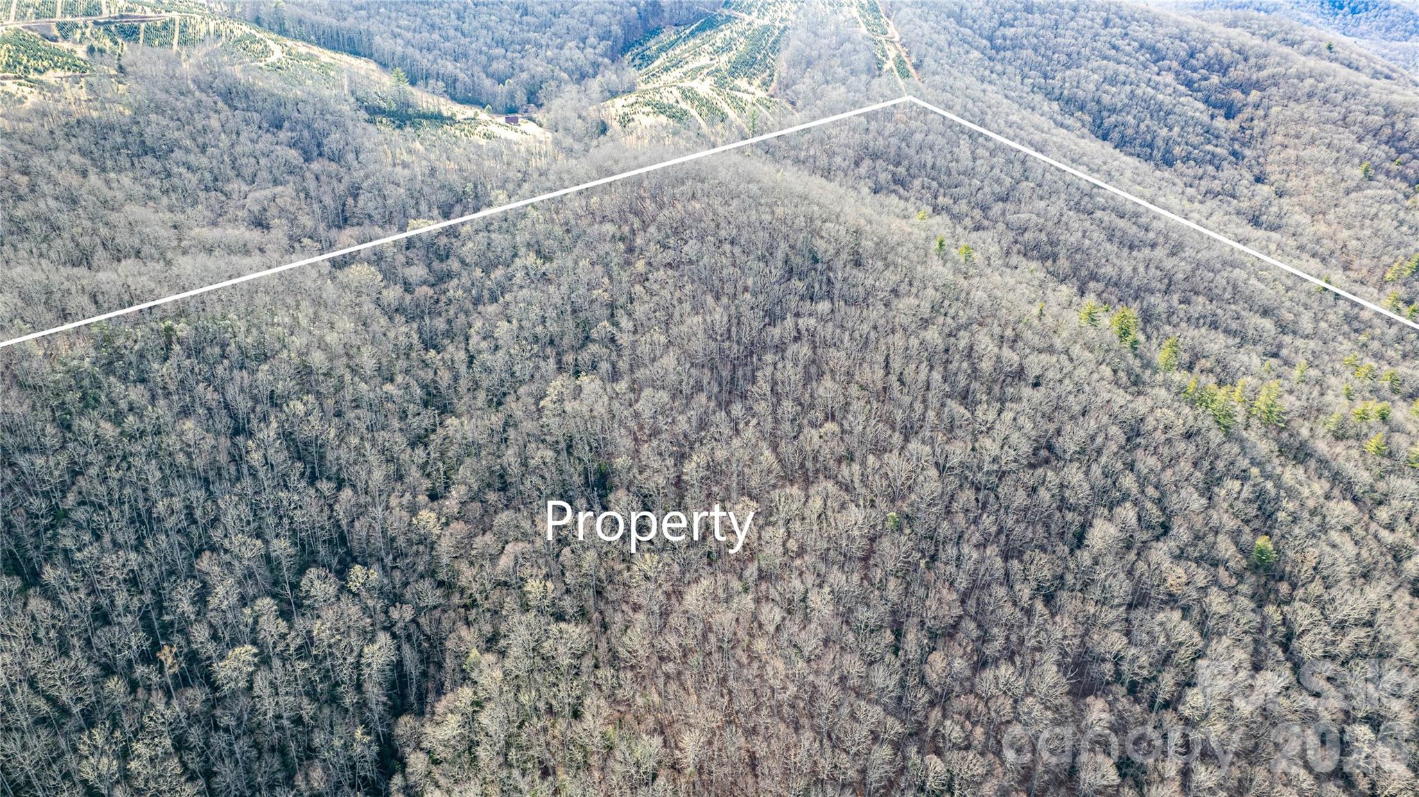 Tbd Tannassee Creek Road Property Photo 19