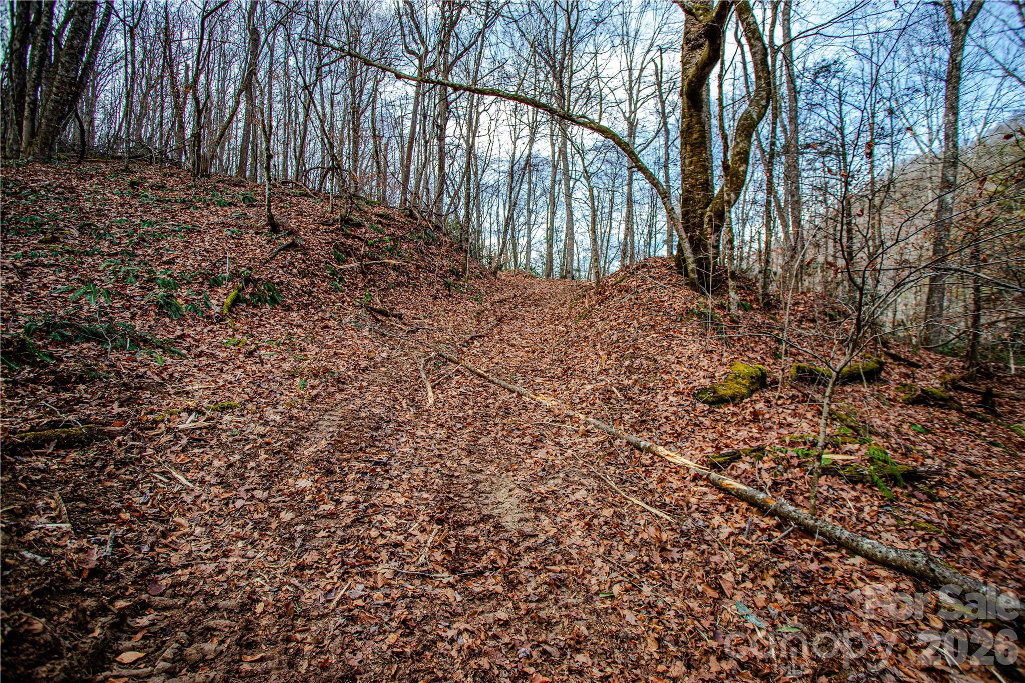 Tbd Tannassee Creek Road Property Photo 20