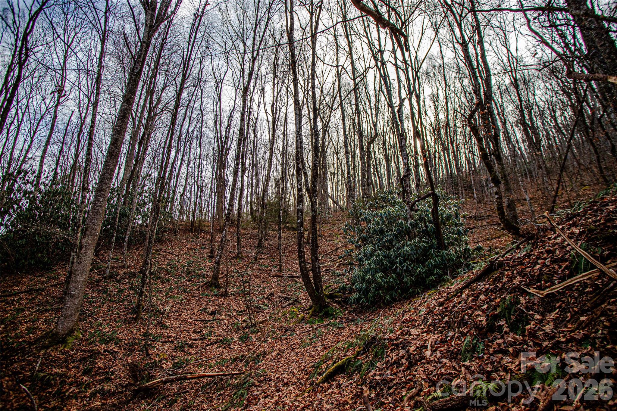 Tbd Tannassee Creek Road Property Photo 21