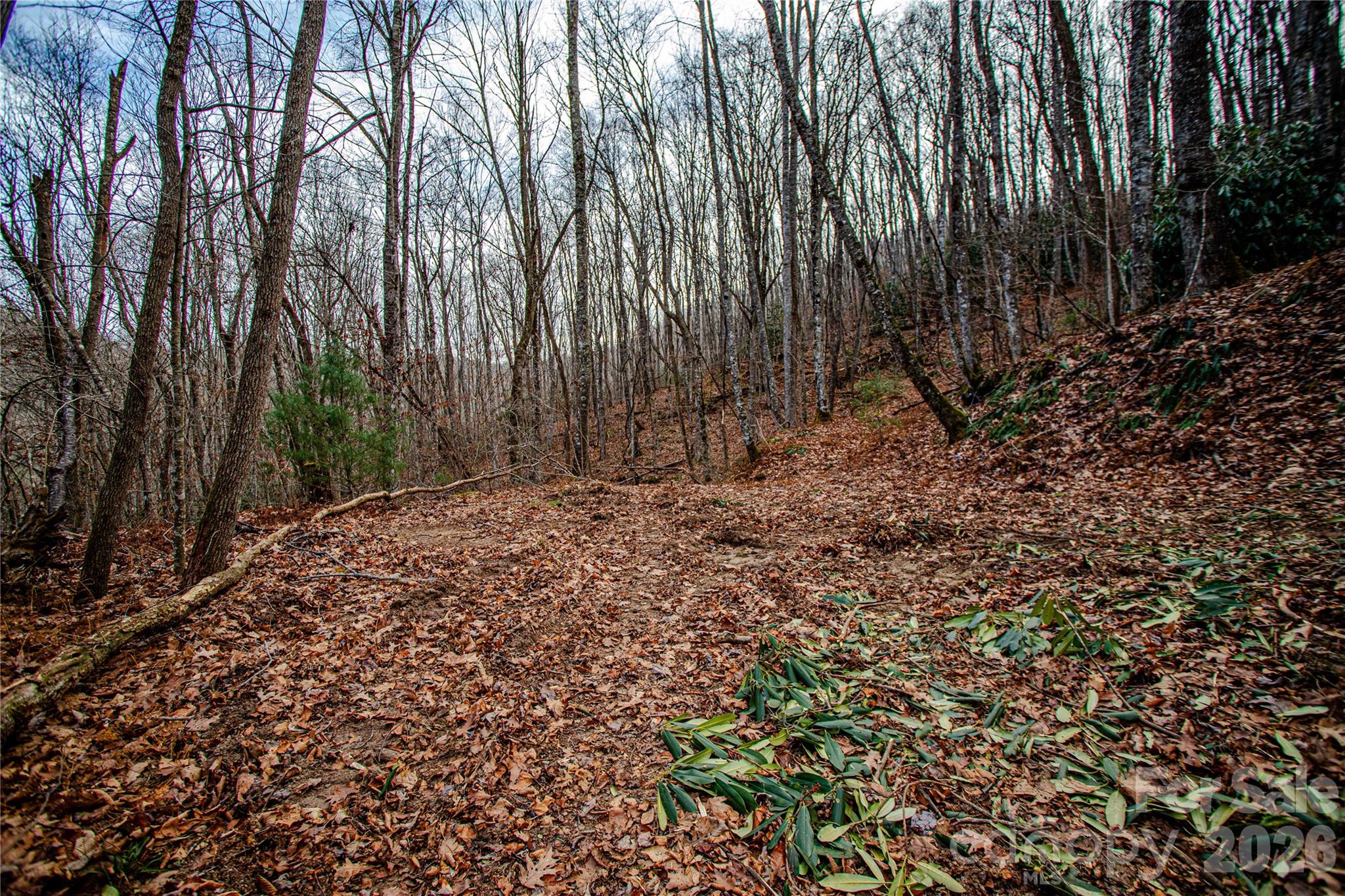 Tbd Tannassee Creek Road Property Photo 22