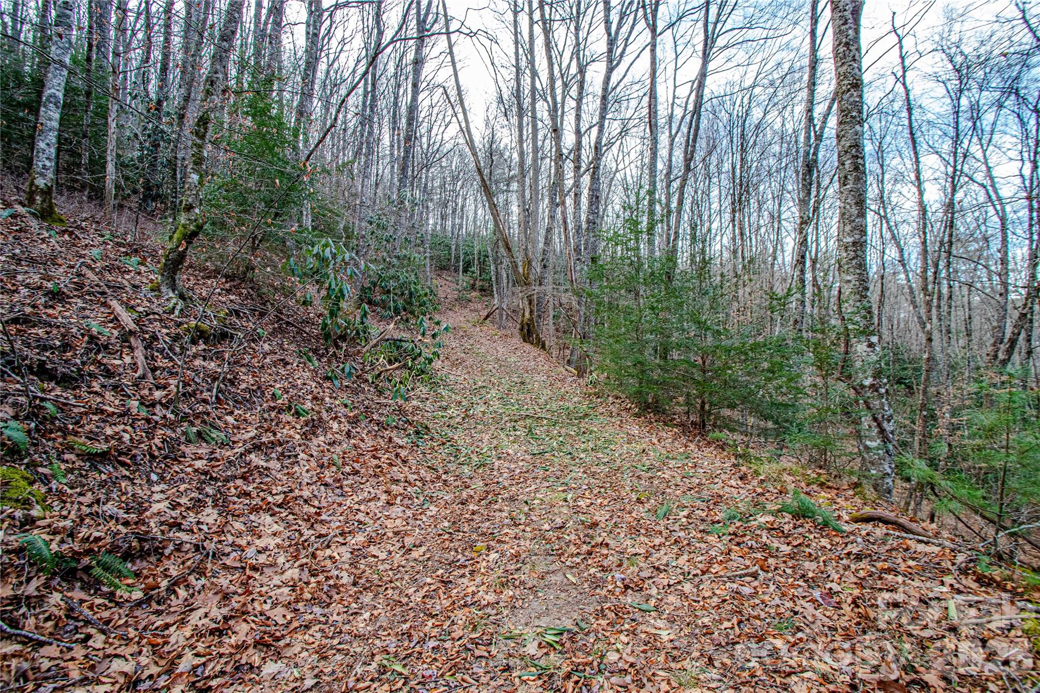 Tbd Tannassee Creek Road Property Photo 23